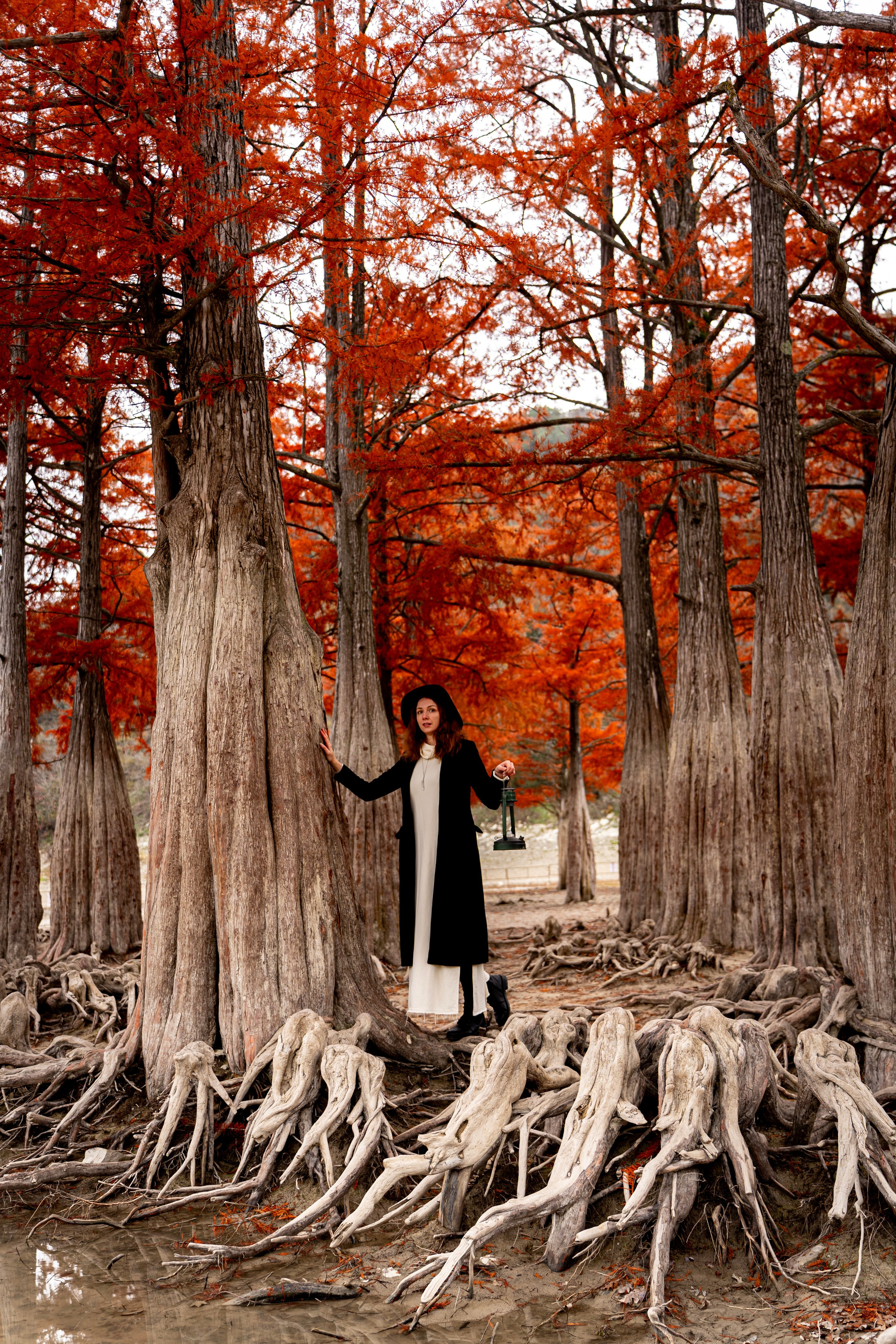 Осенняя фотосессия в Анапе — яркие кипарисы. Семейный и детский фотограф Екатерина Черняева. Снимаю портреты, love story, фотопрогулки, работаю на улице, в кафе, студии, дома у клиента