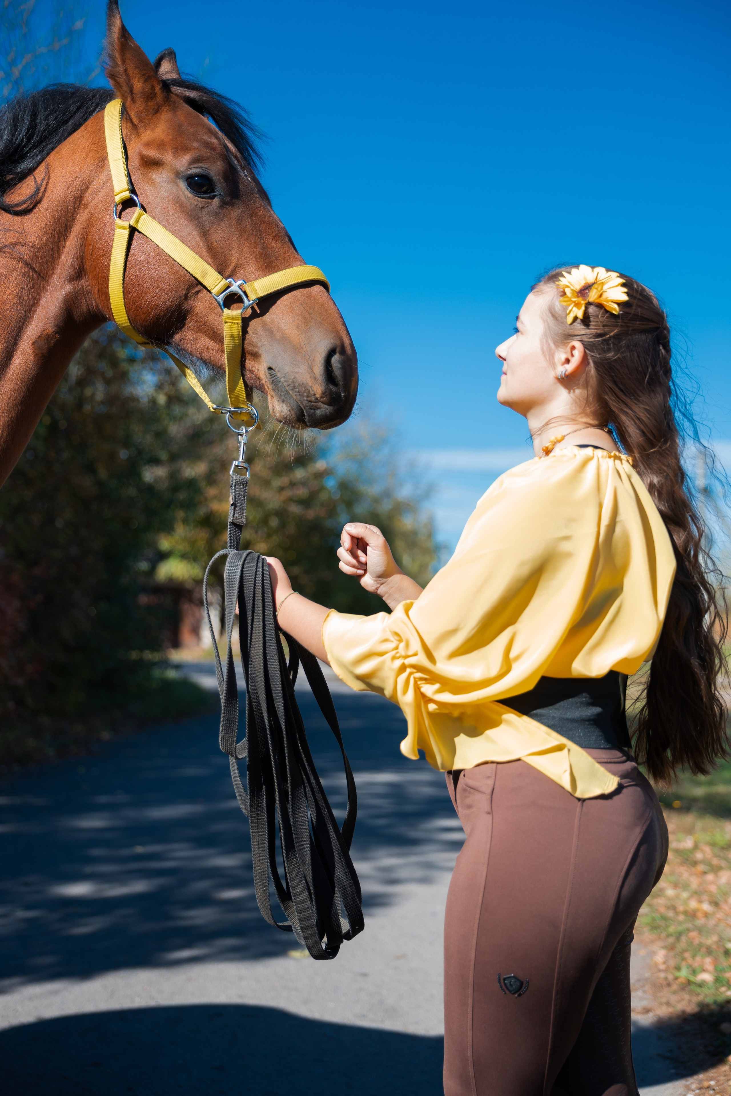 Фотосессия с лошадьми