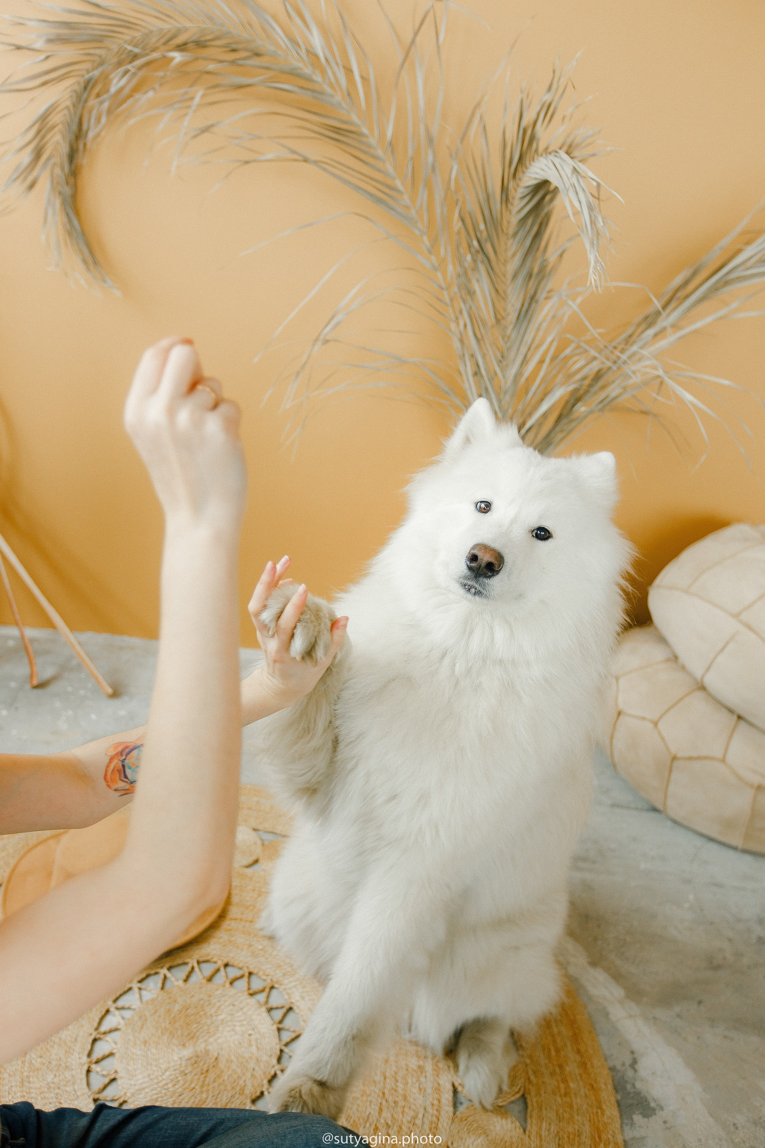 Самоед Мартин. Свадебный и женский фотограф