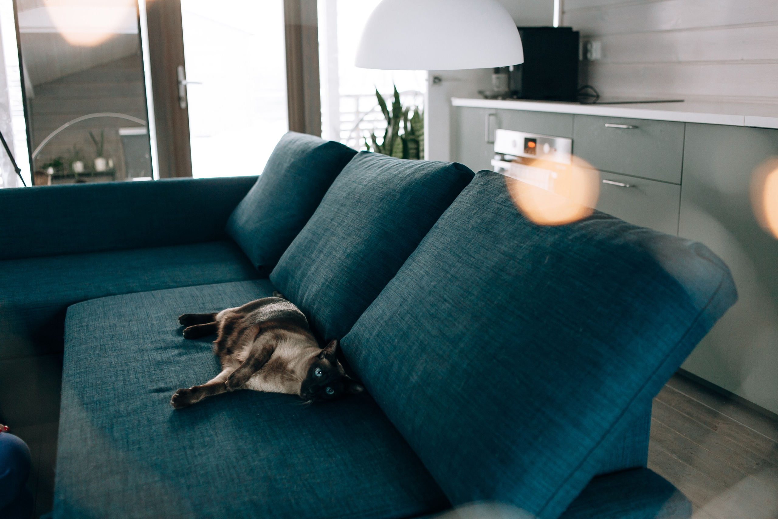 Семья. Зима. Семейный фотограф, свадебный фотограф, женский портрет в Санкт-Петербу