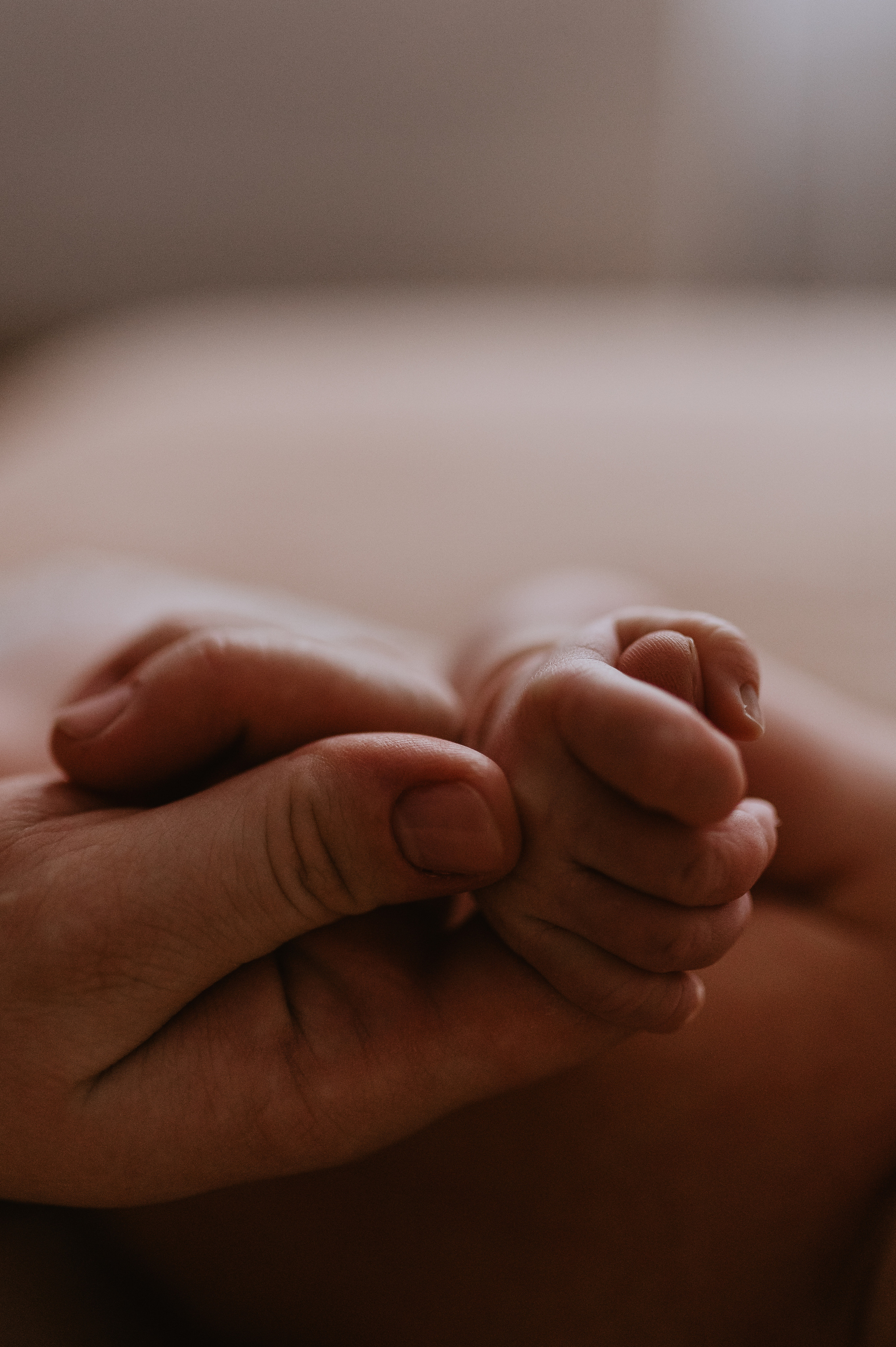 Домашняя. Семейный фотограф Нагорнова Виктория