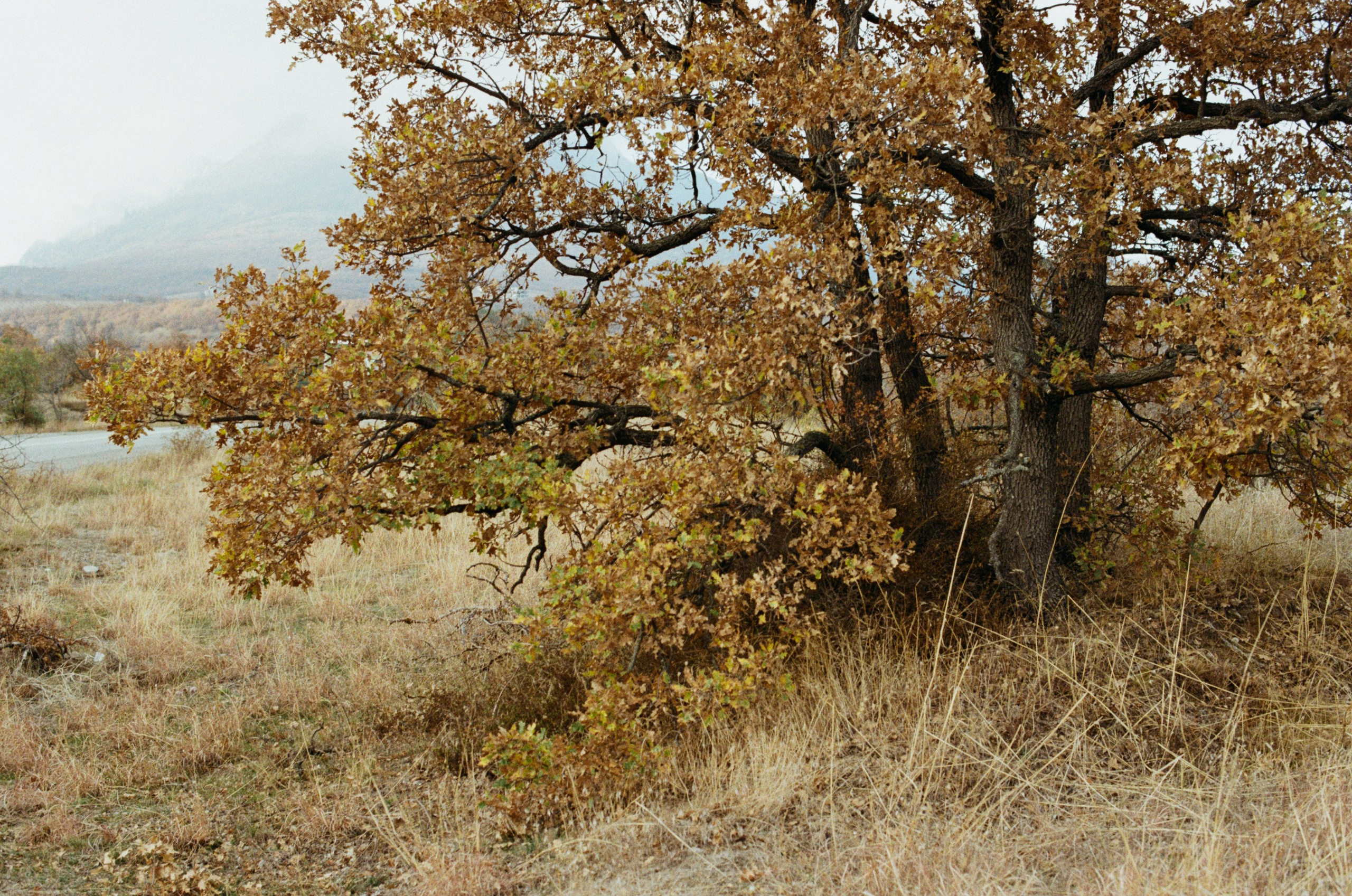 Wherever you will go // ukraine, crimea V. EVER EXPOSED