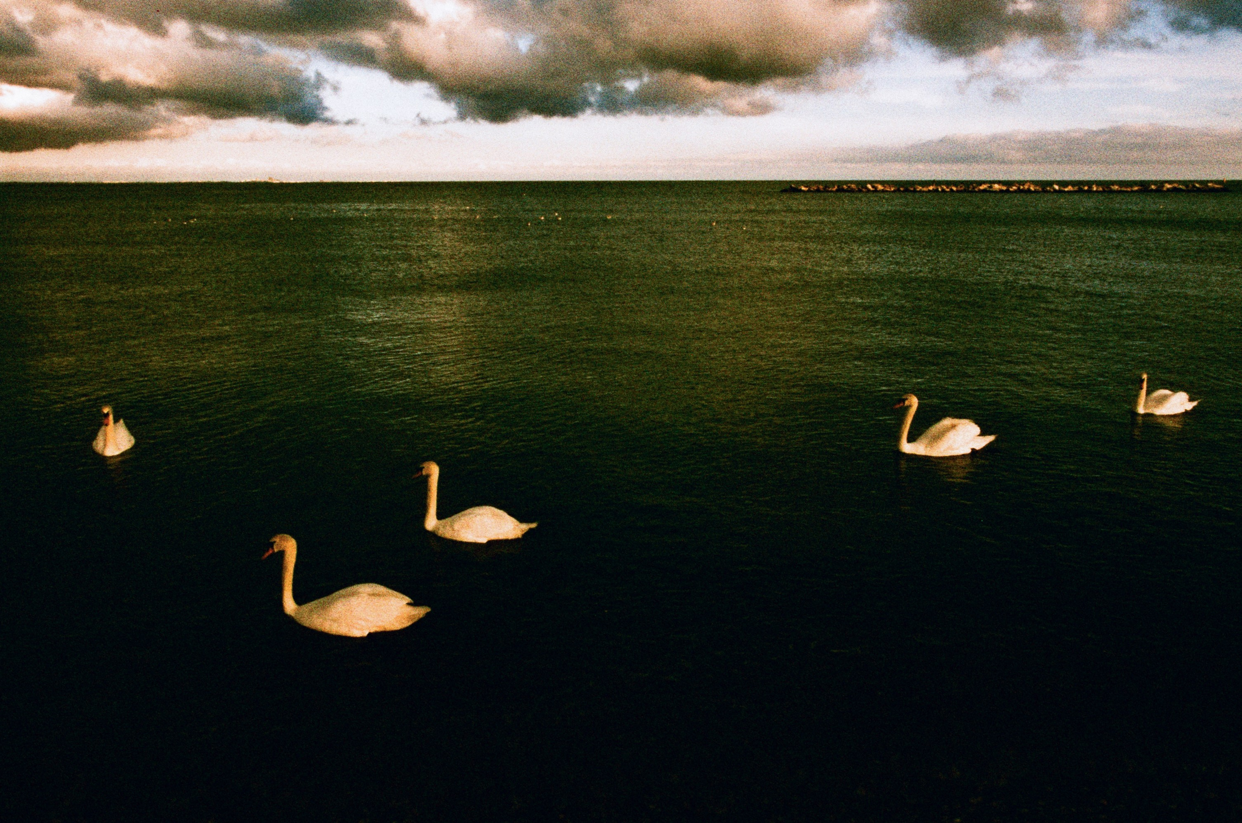 Press enter to exit // ukraine, crimea II. EVER EXPOSED