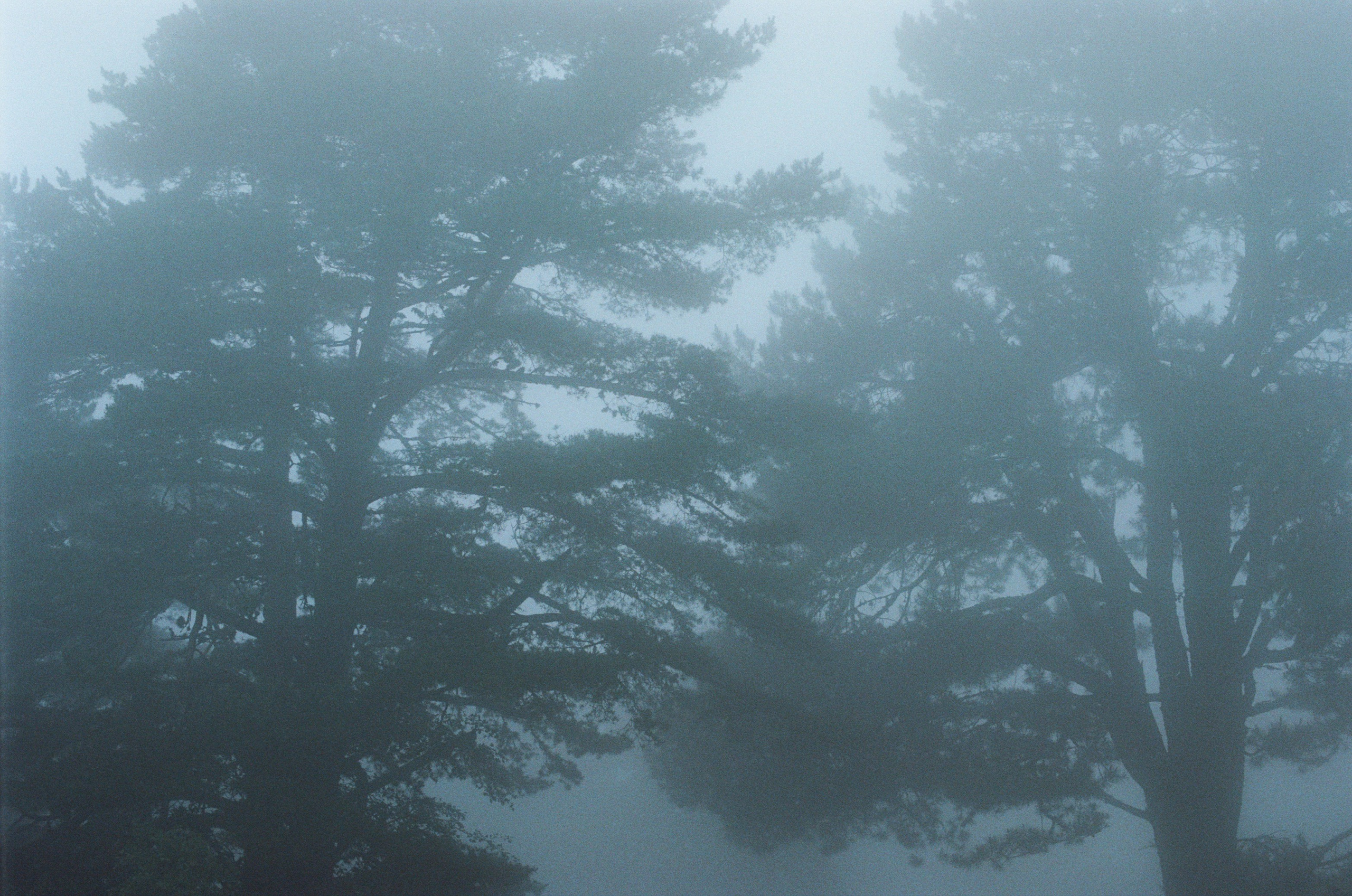 Dig it // ukraine, crimea. EVER EXPOSED