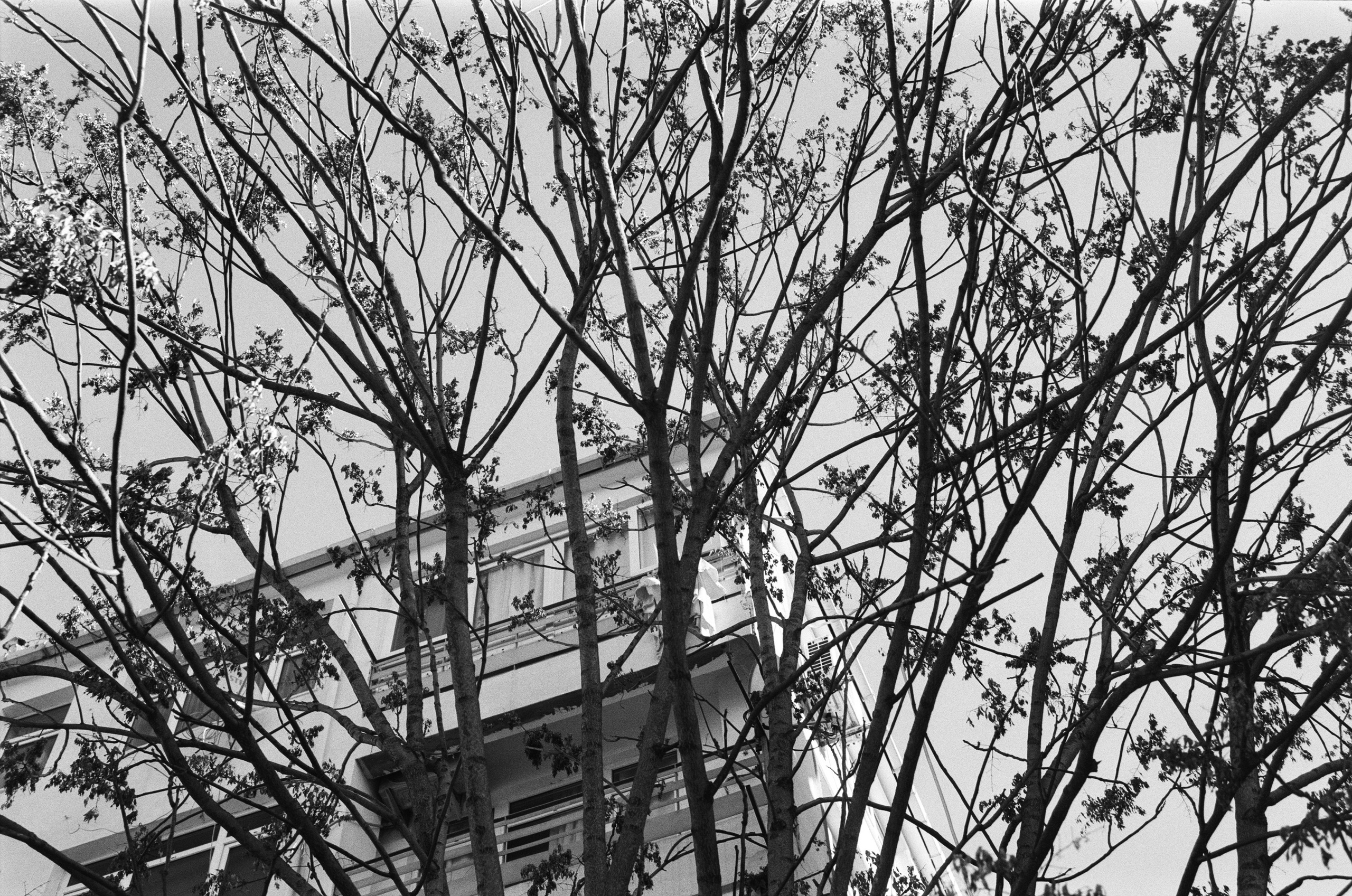 Complicated // turkey, istanbul IV. EVER EXPOSED