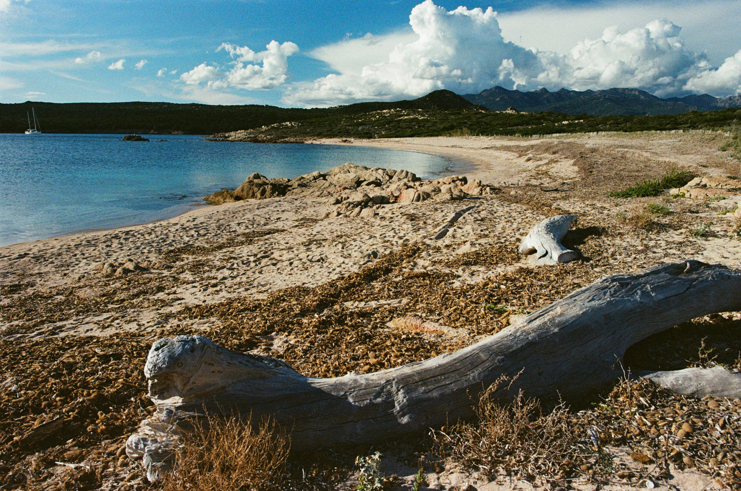 Silence is also an answer // corsica V. EVER EXPOSED