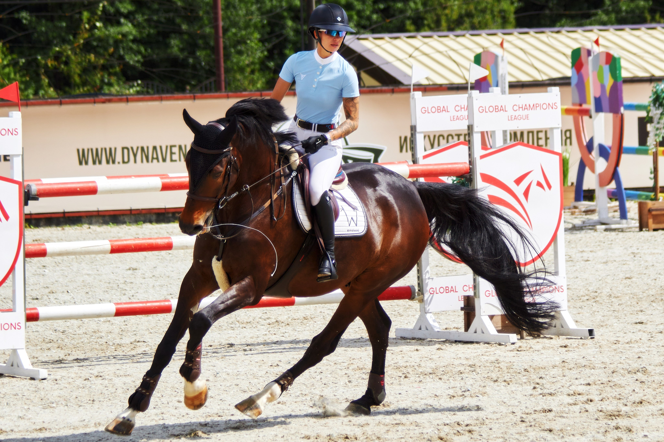 Конкур в «Виват, Россия». Фотограф анималист — Тула, Москва