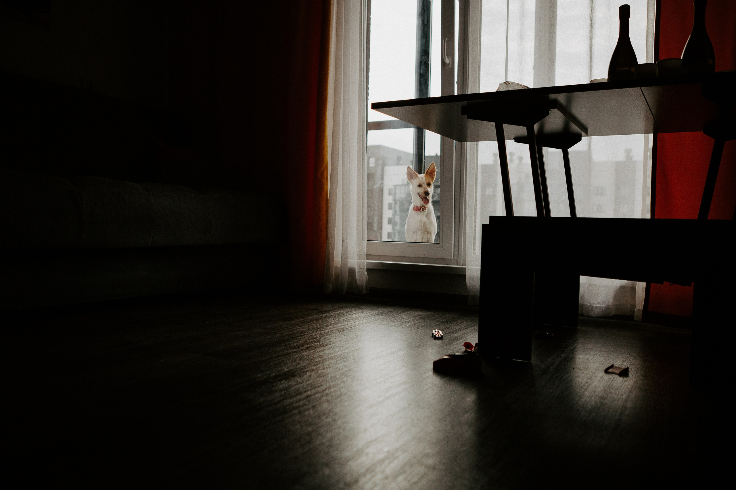 Илья и Алина. Фотограф, видеограф в Челябинске Глеб Хазиев