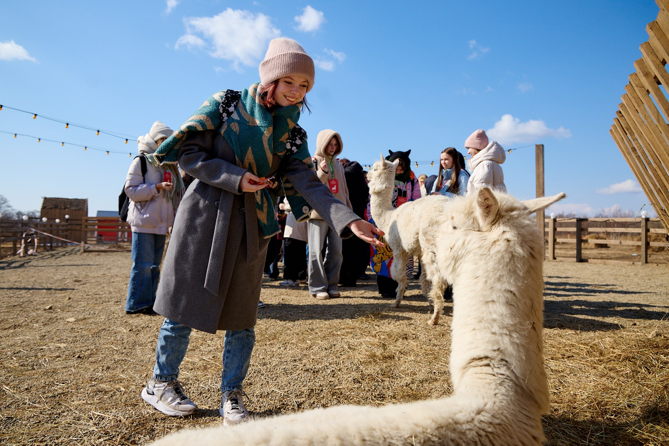 Тихоокеанская проектная школа 2025