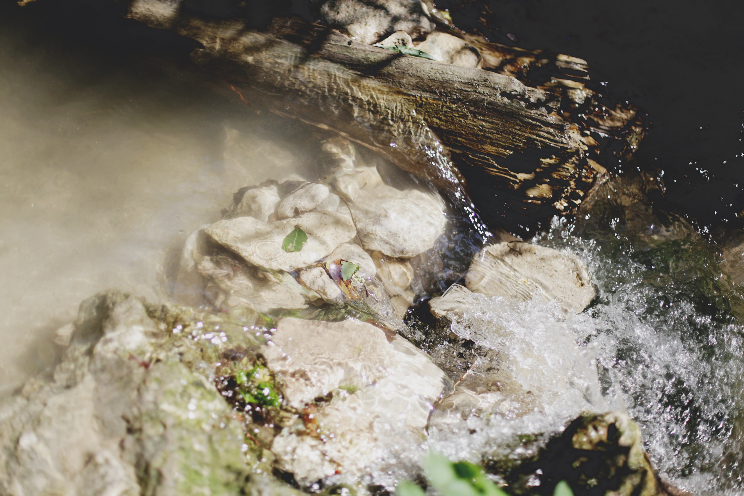 Болгария. Аня Степанова