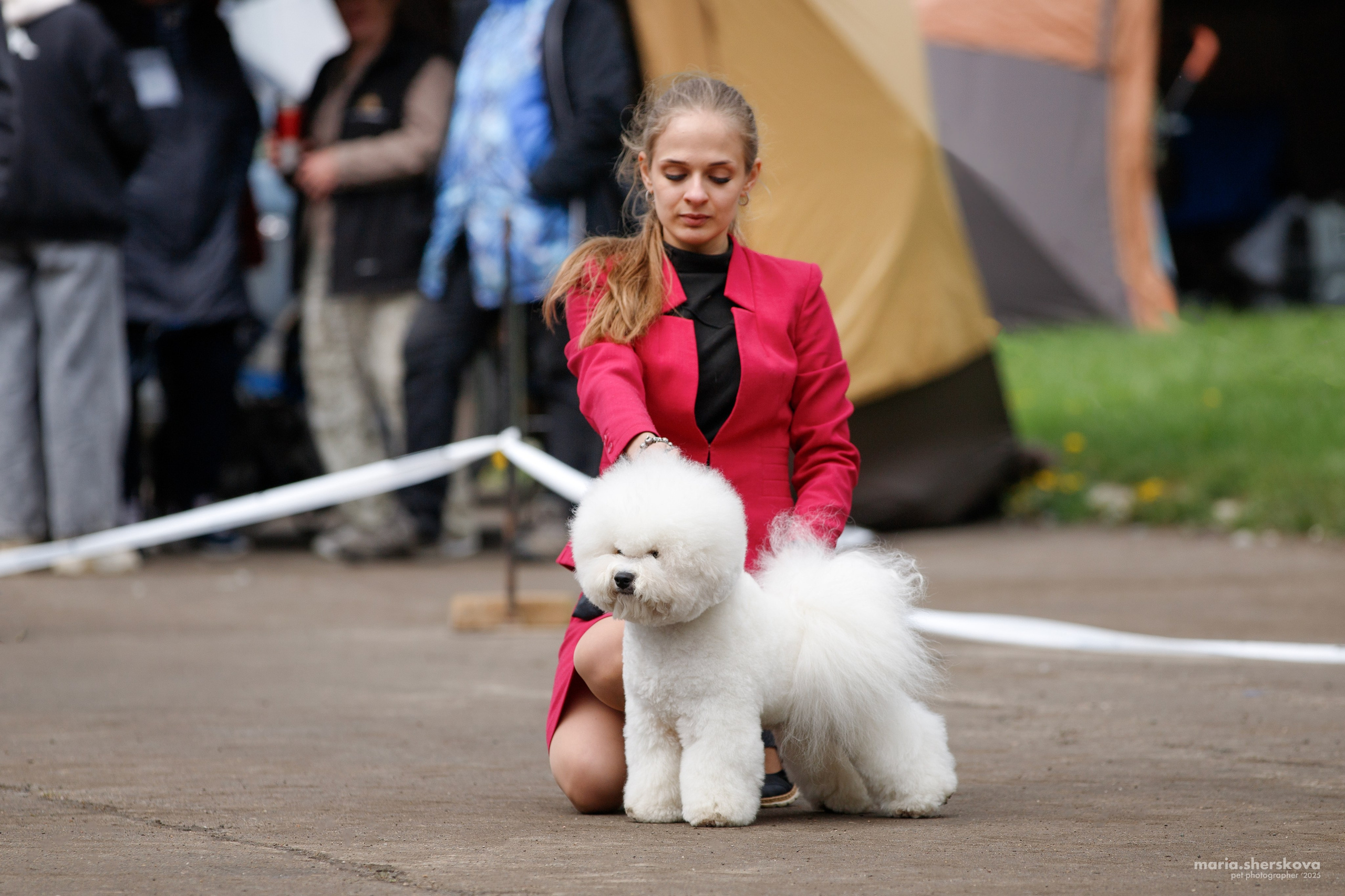 Выставки. Фотограф-анималист в Калуге Мария Шерскова