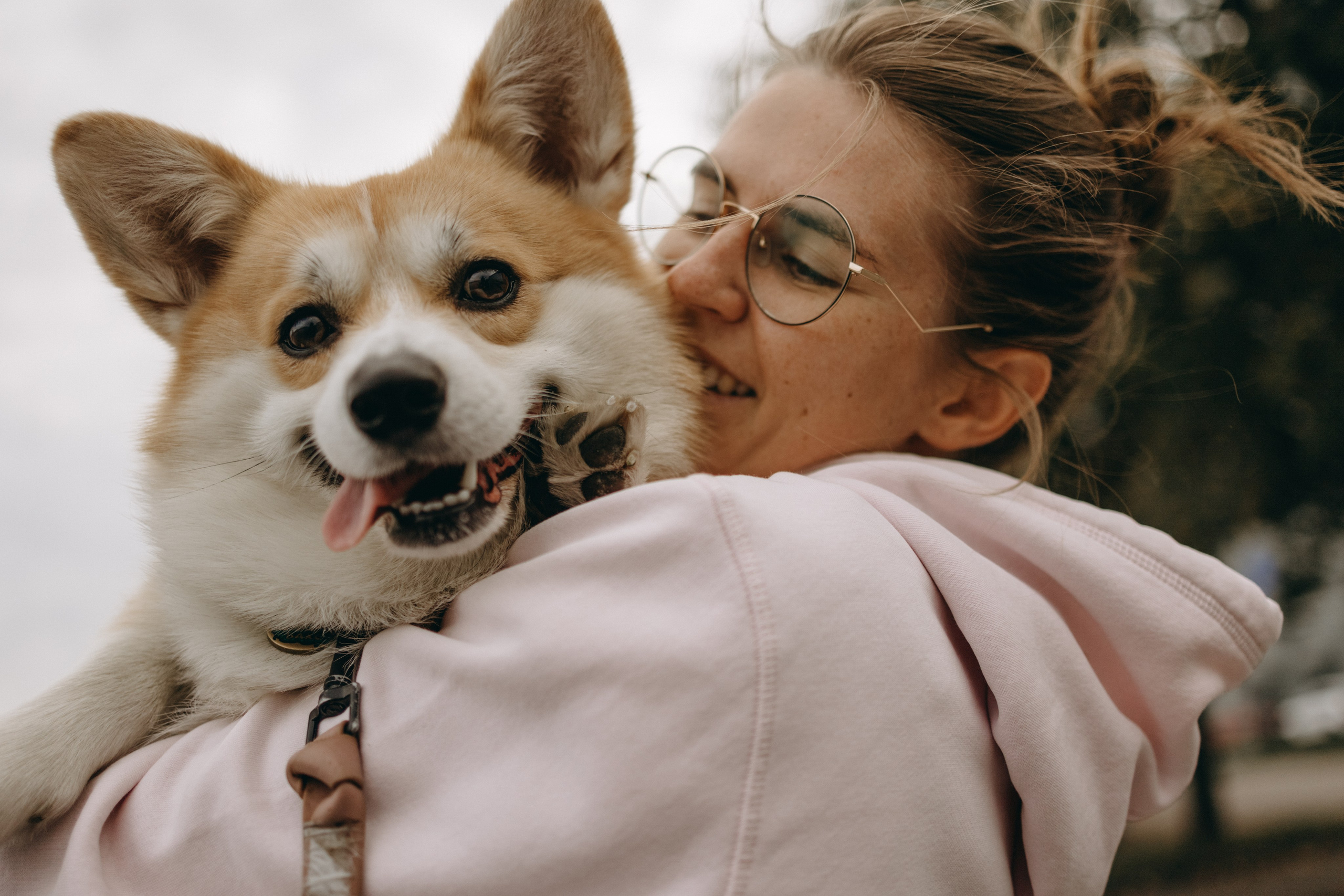 Лиза и Бакс. Фотограф — Анималист | Санкт-Петербург