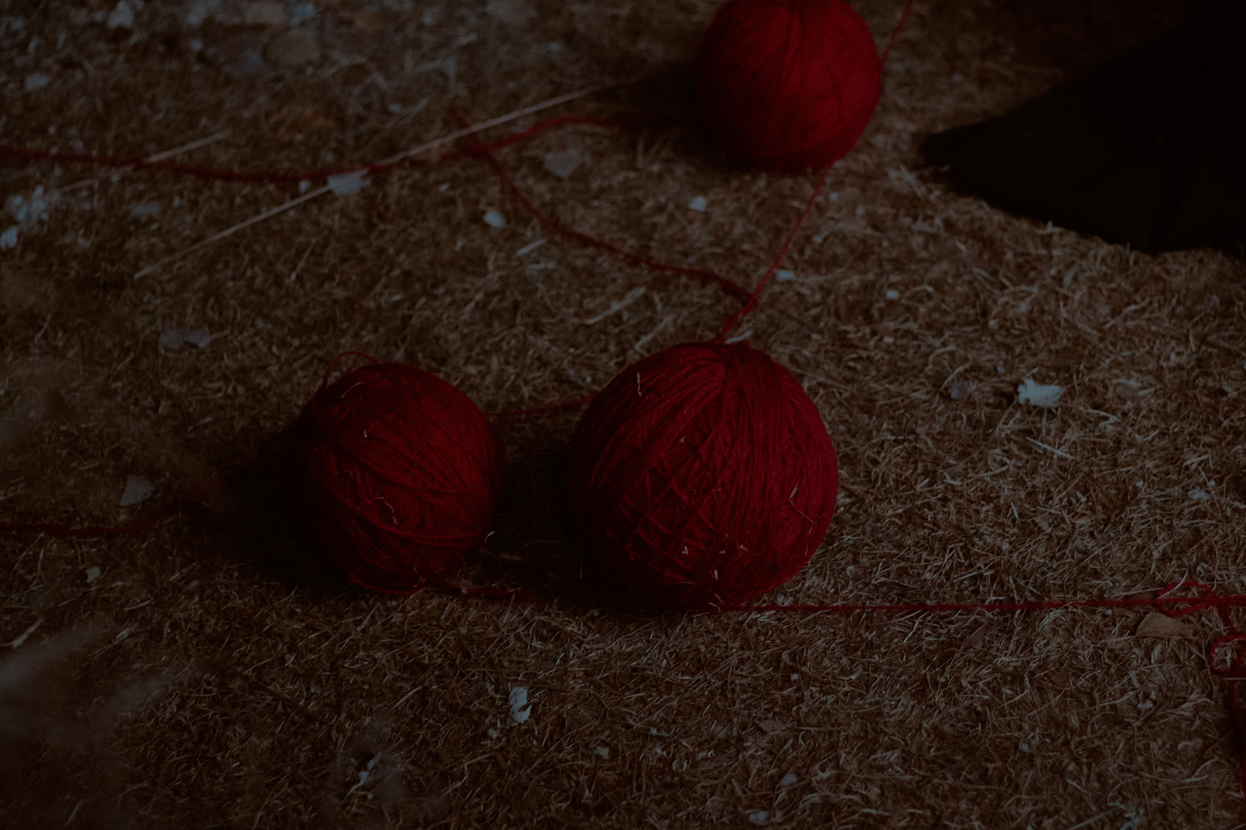 Тень. Фотограф лавстори Москва/МО Приятелева Ангелина