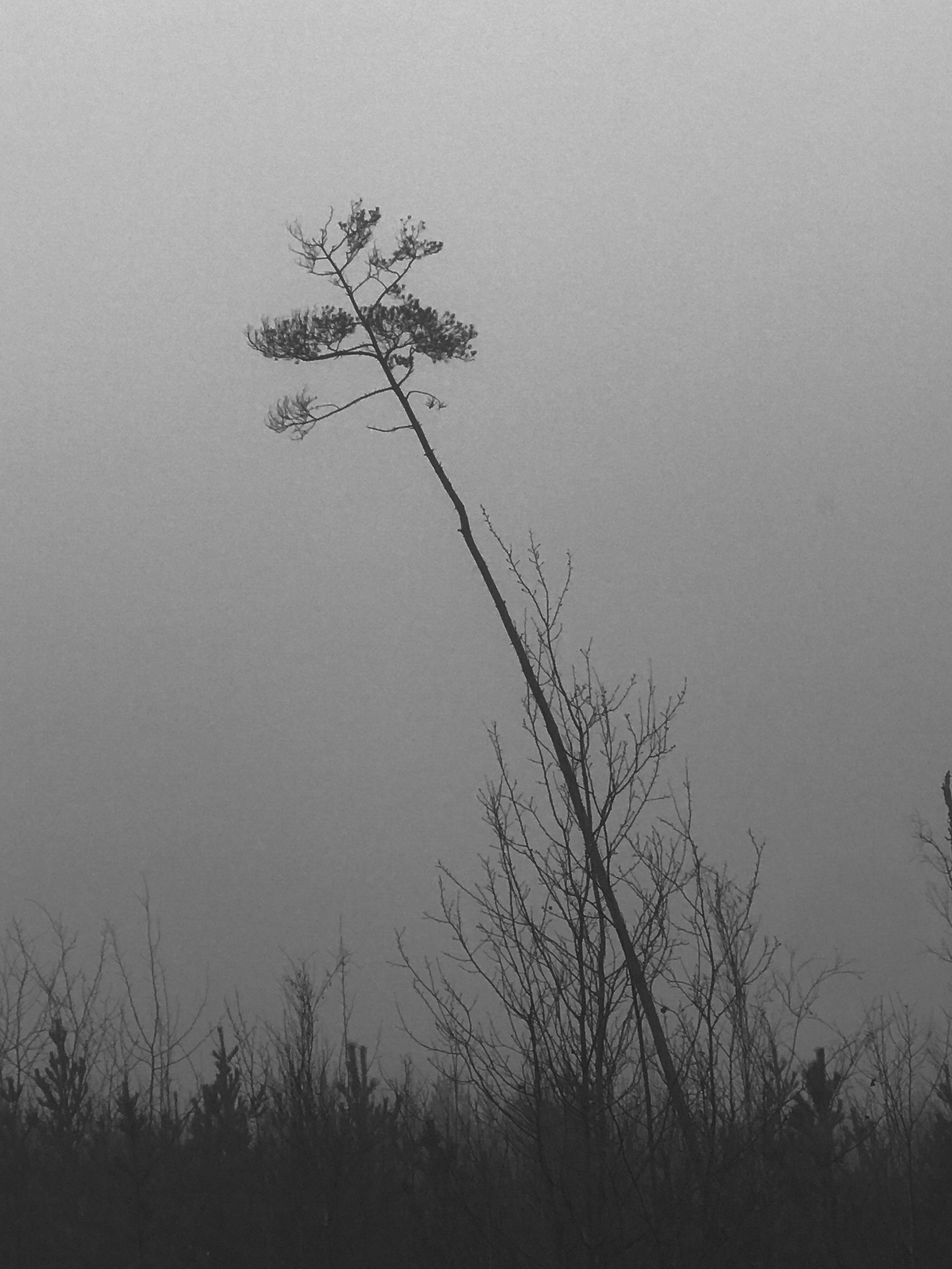 Формы. Коммерческий фотограф Тарасов Дмитрий