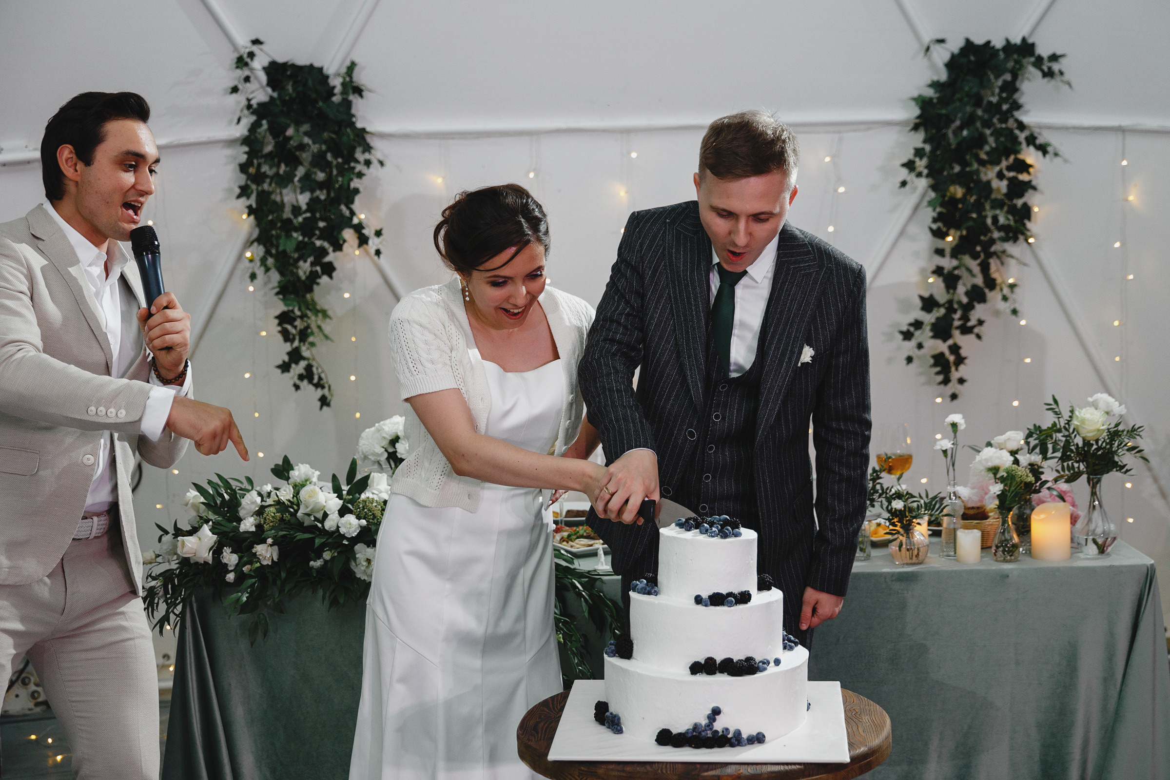 Василий и Виктория. Свадебный фотограф и видеограф Дмитрий Горяченков