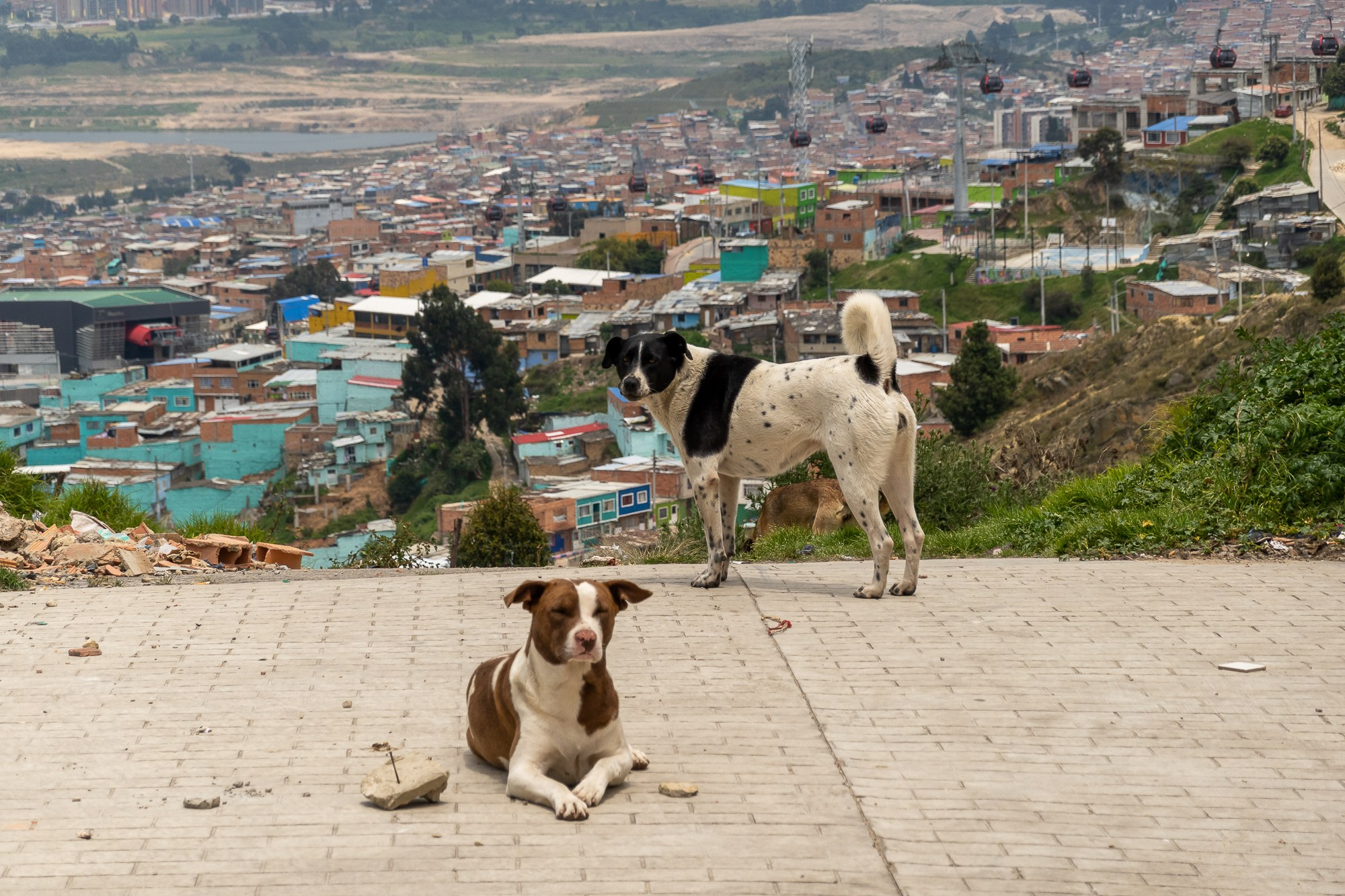 Богота, столица Колумбии. Bogotá, the capital of Colombia. Фотограф Алексей Скоробогатько