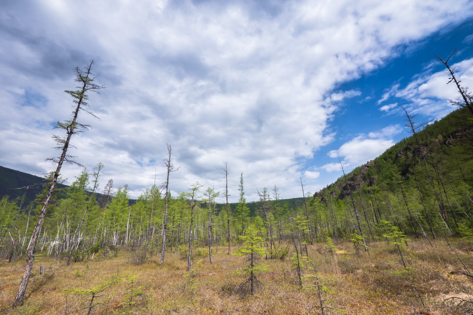 Якутия. Фотограф Алексей Скоробогатько