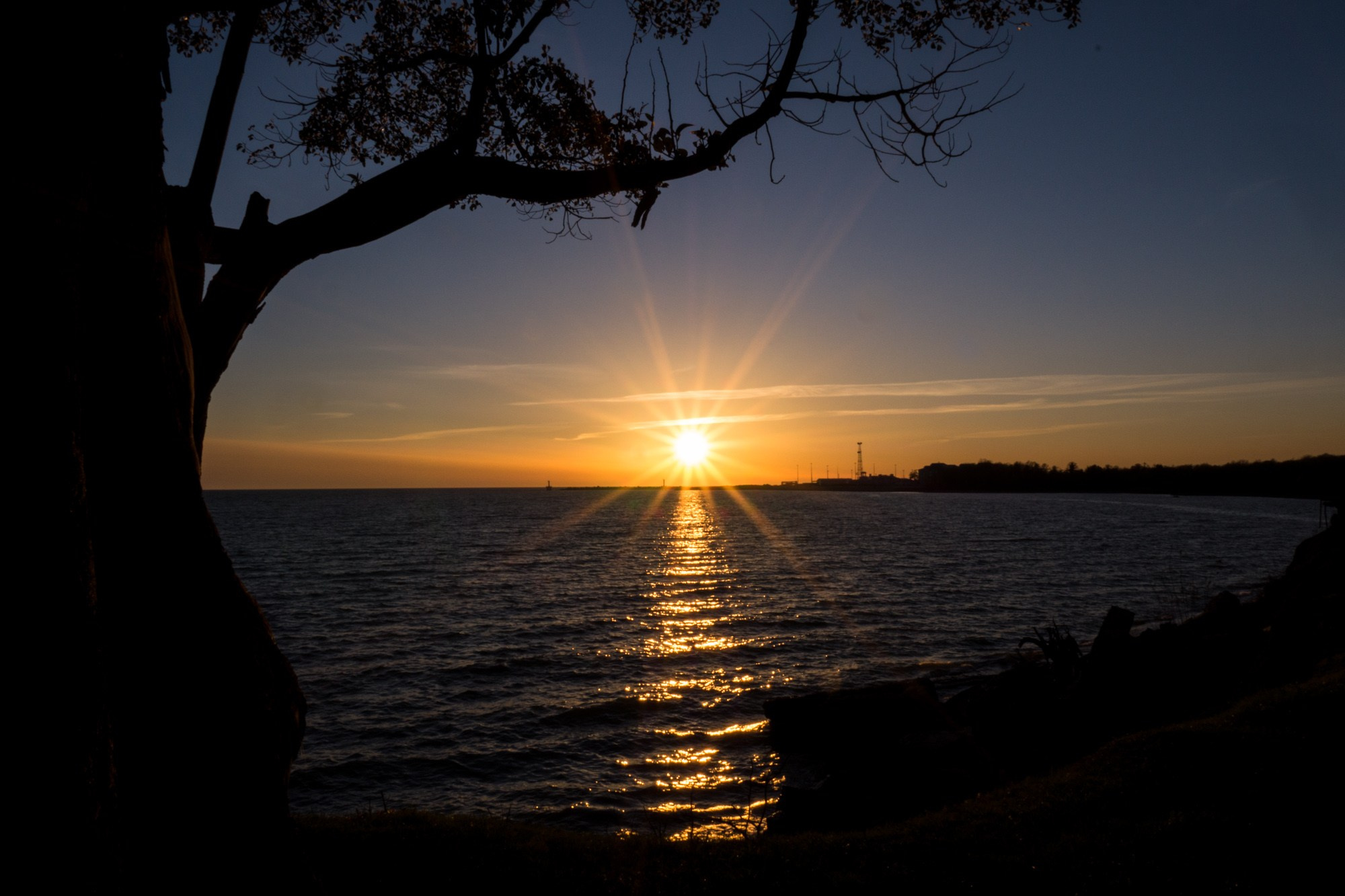 Фотограф Алексей Скоробогатько