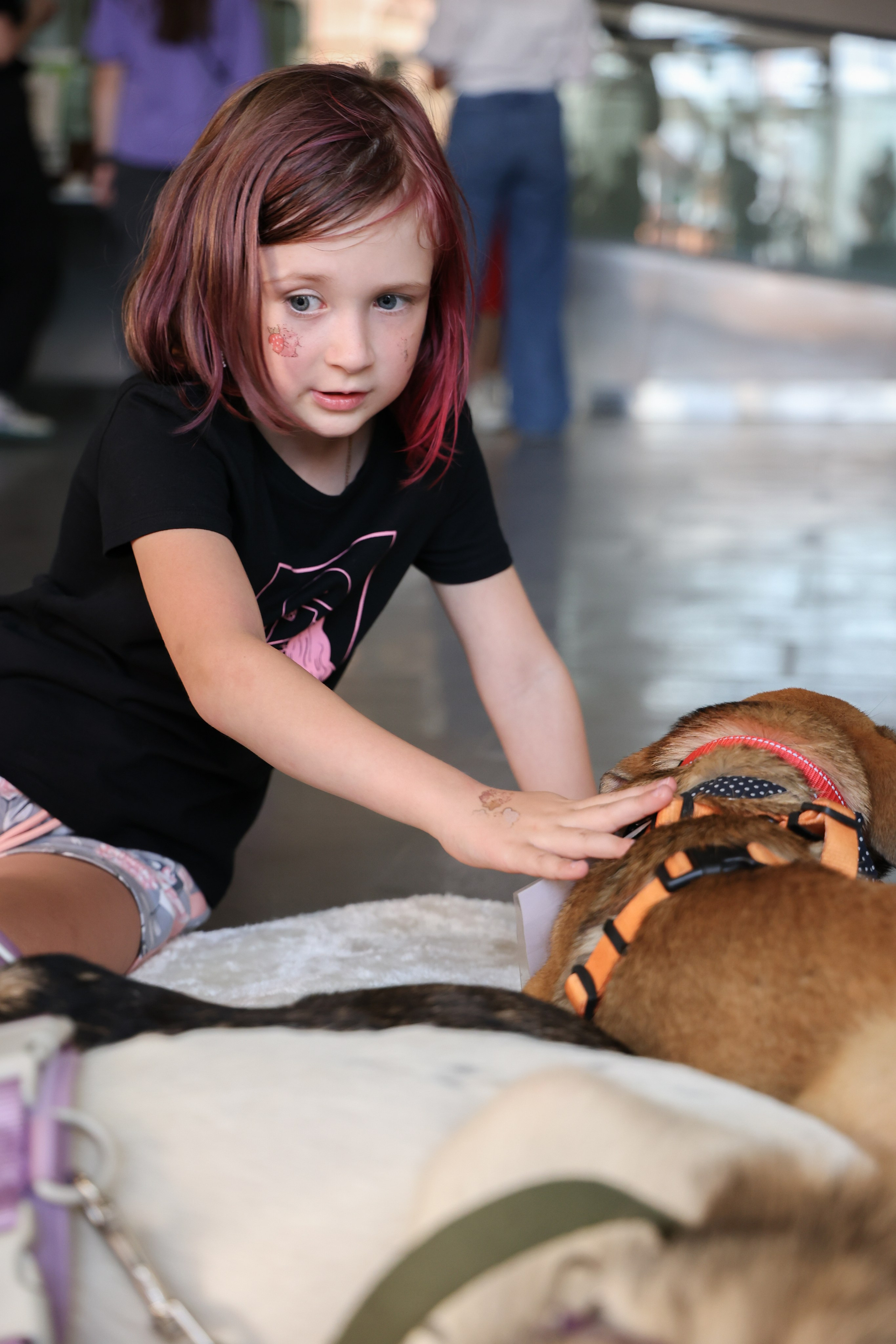 ECO FEST. Фотограф Вадим Бодылев
