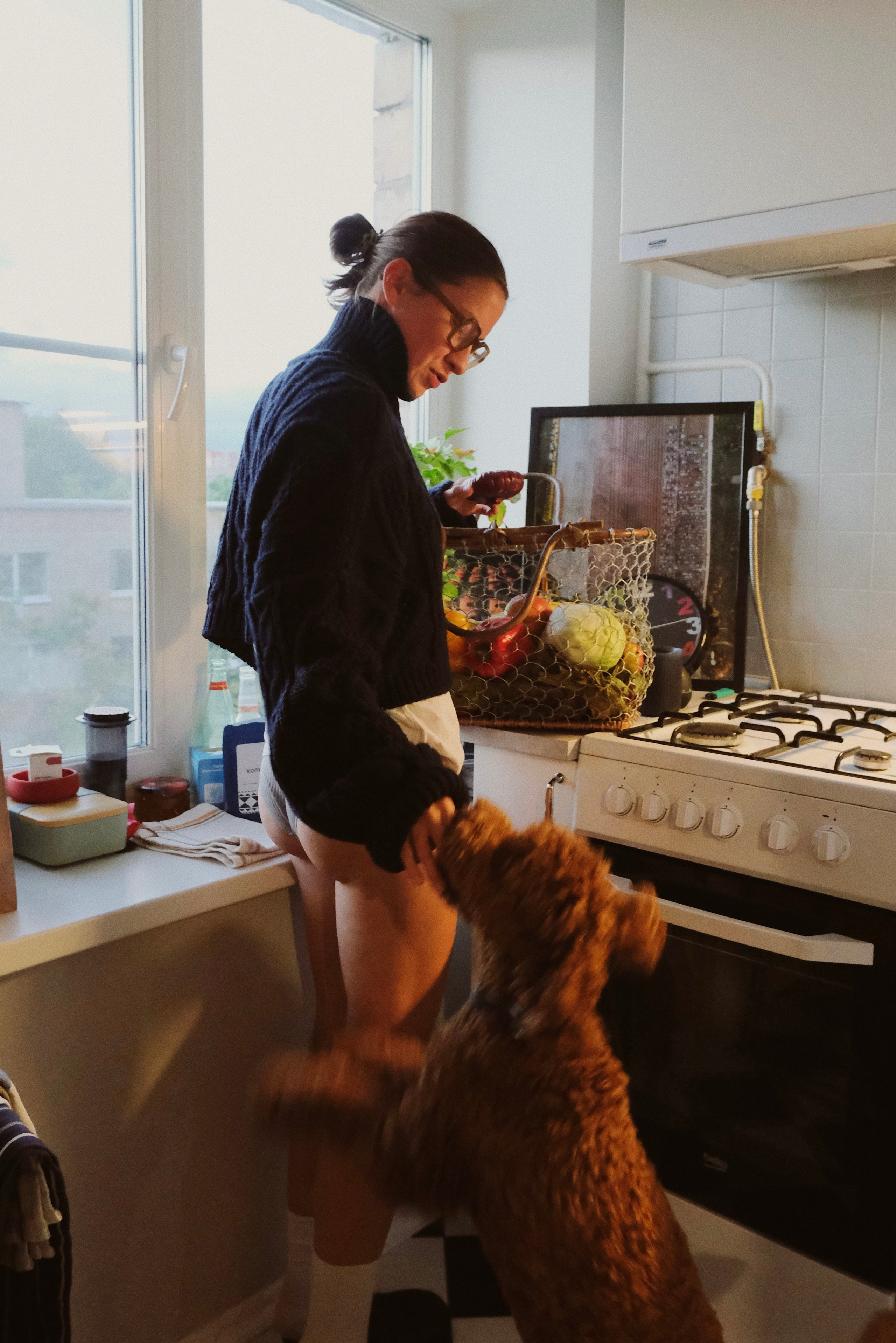 Дома. Татьян гертье