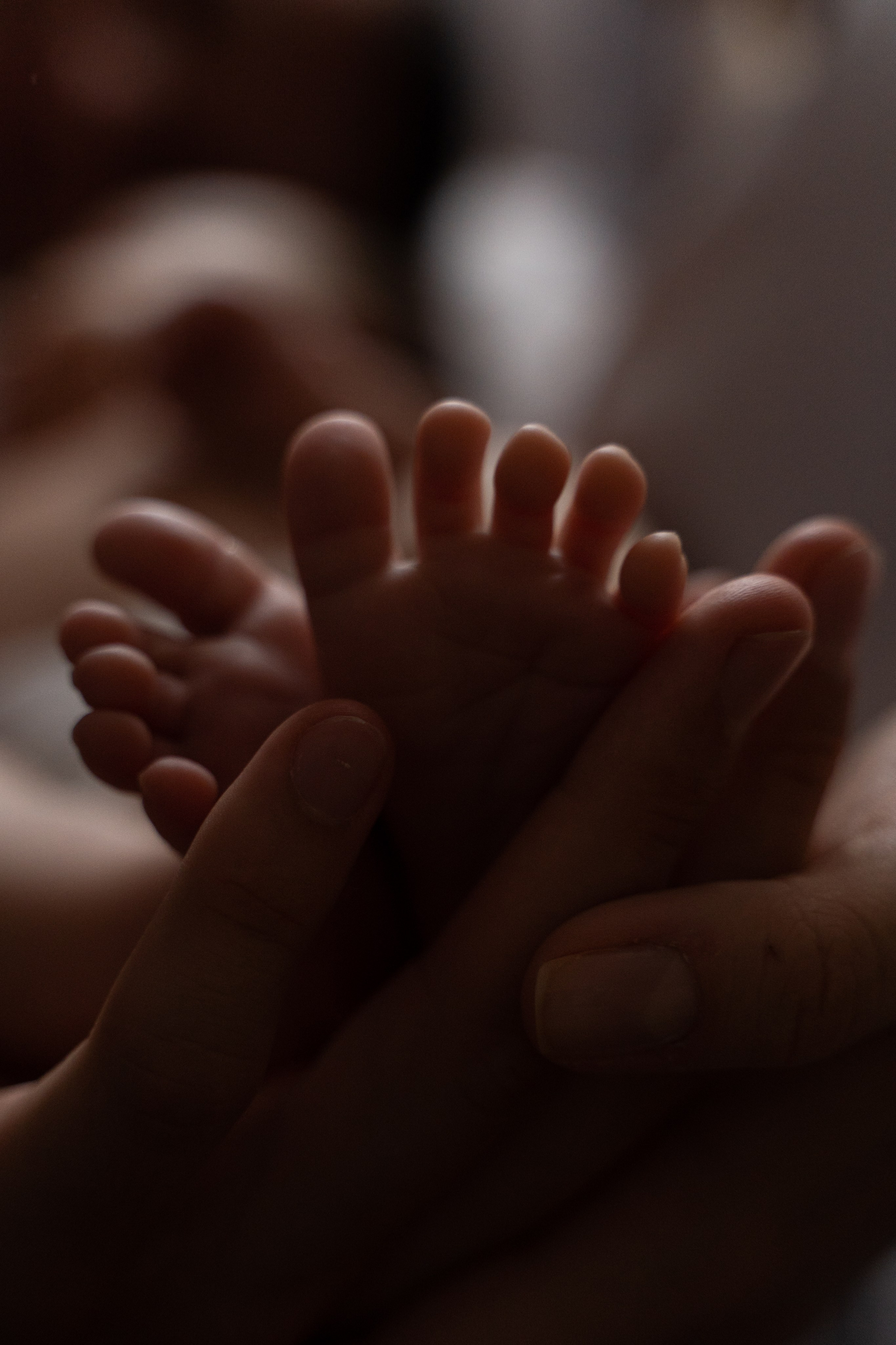 Малыши до года. Фотограф в Иркутске Анна Небесная