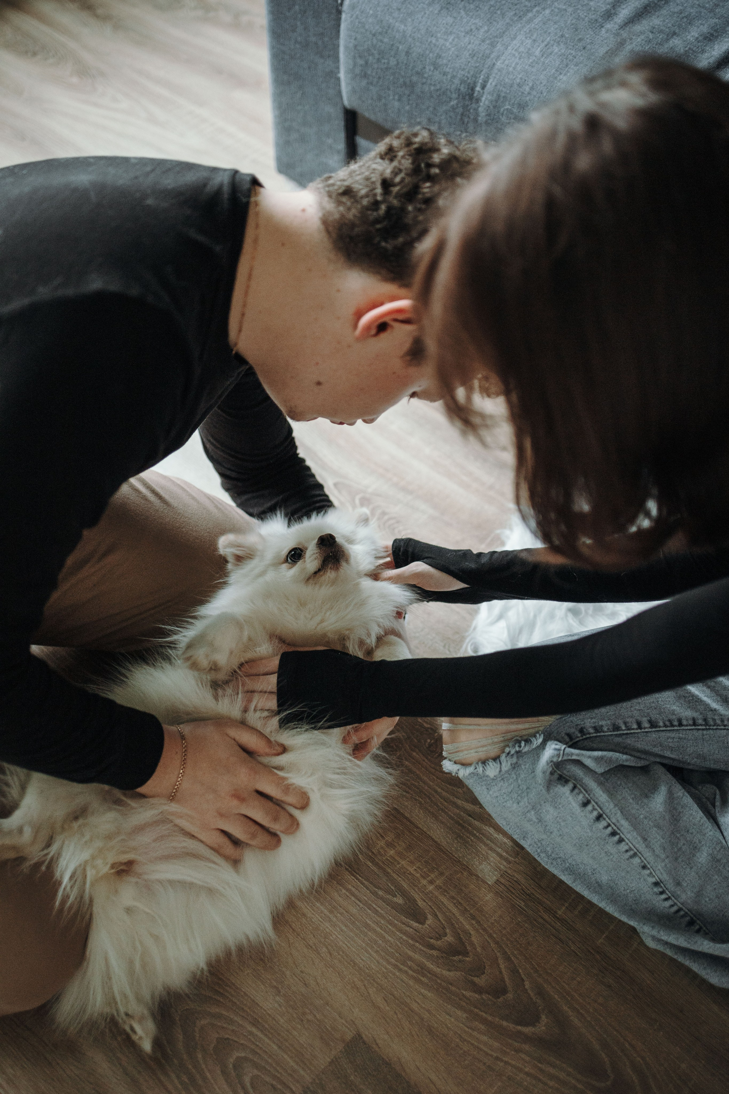 Шпиц Мася и ее семья