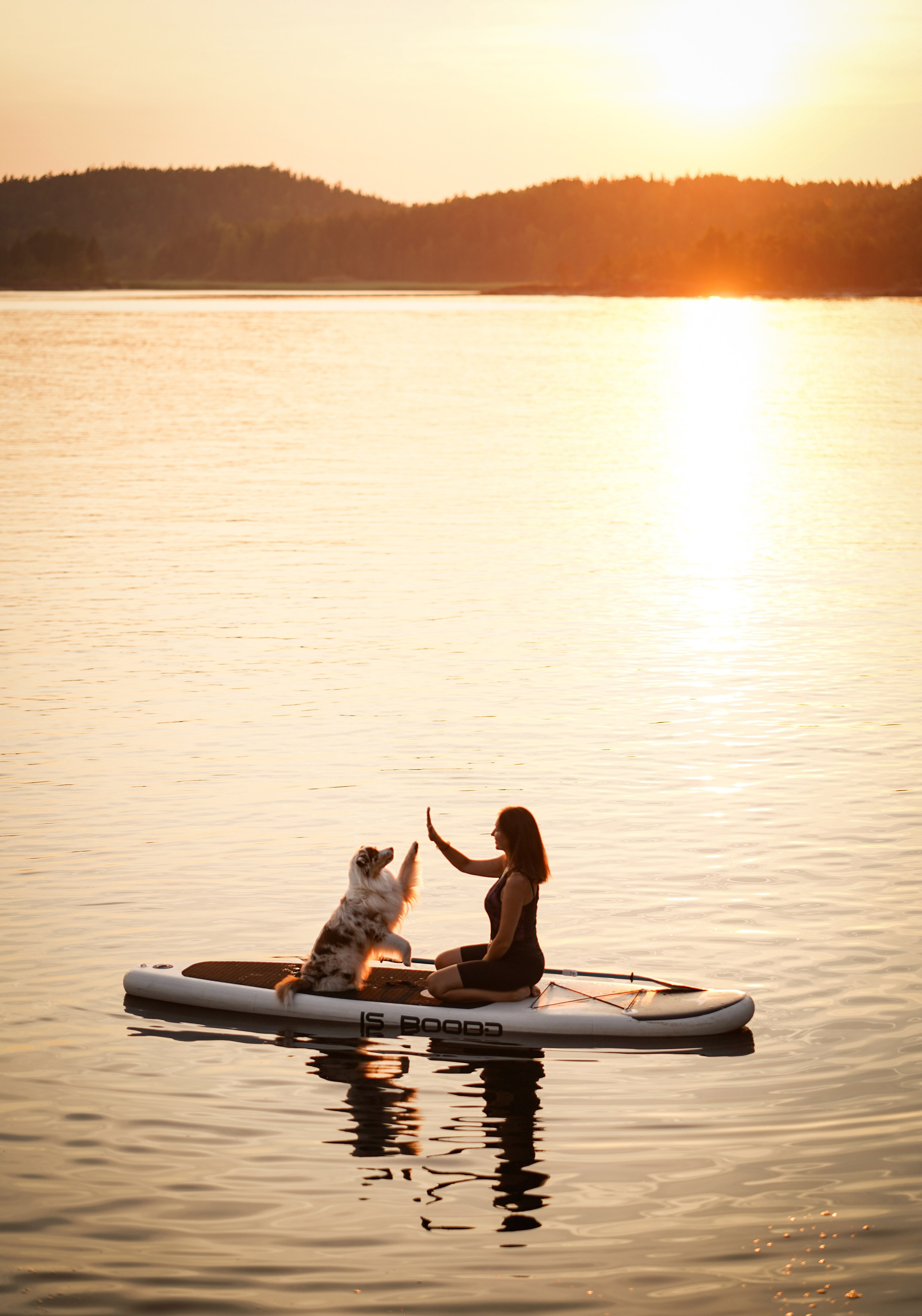 Панда SUP. Фотограф-анималист в Санкт-Петербурге Яна Мартынова