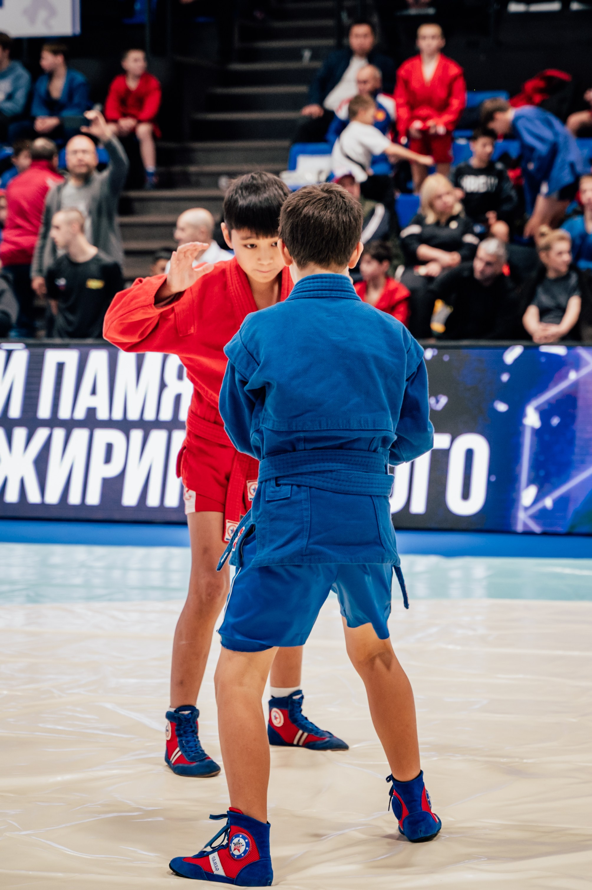 Турнир по самбо ЮФО