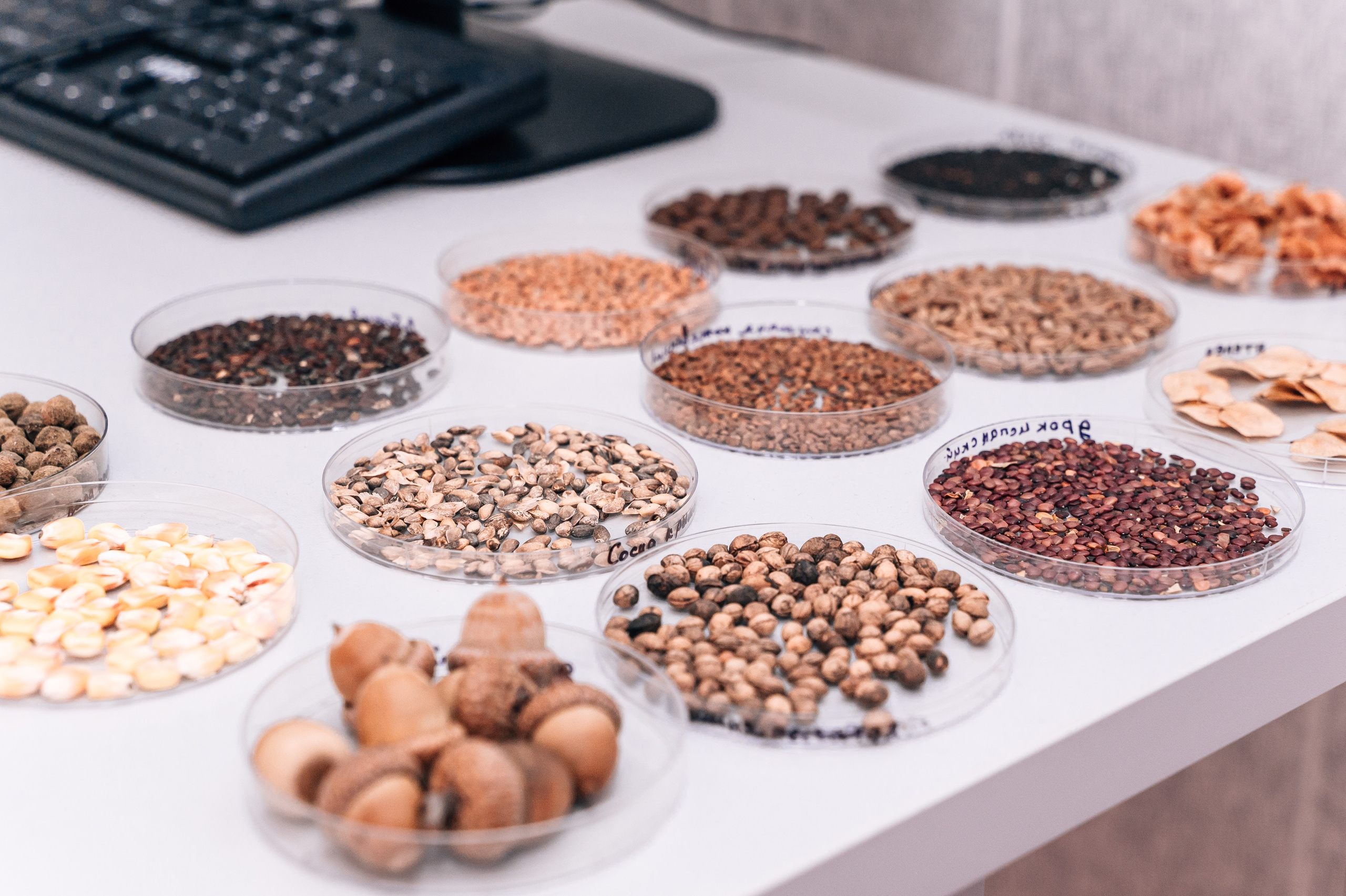 Международная конференция РАН