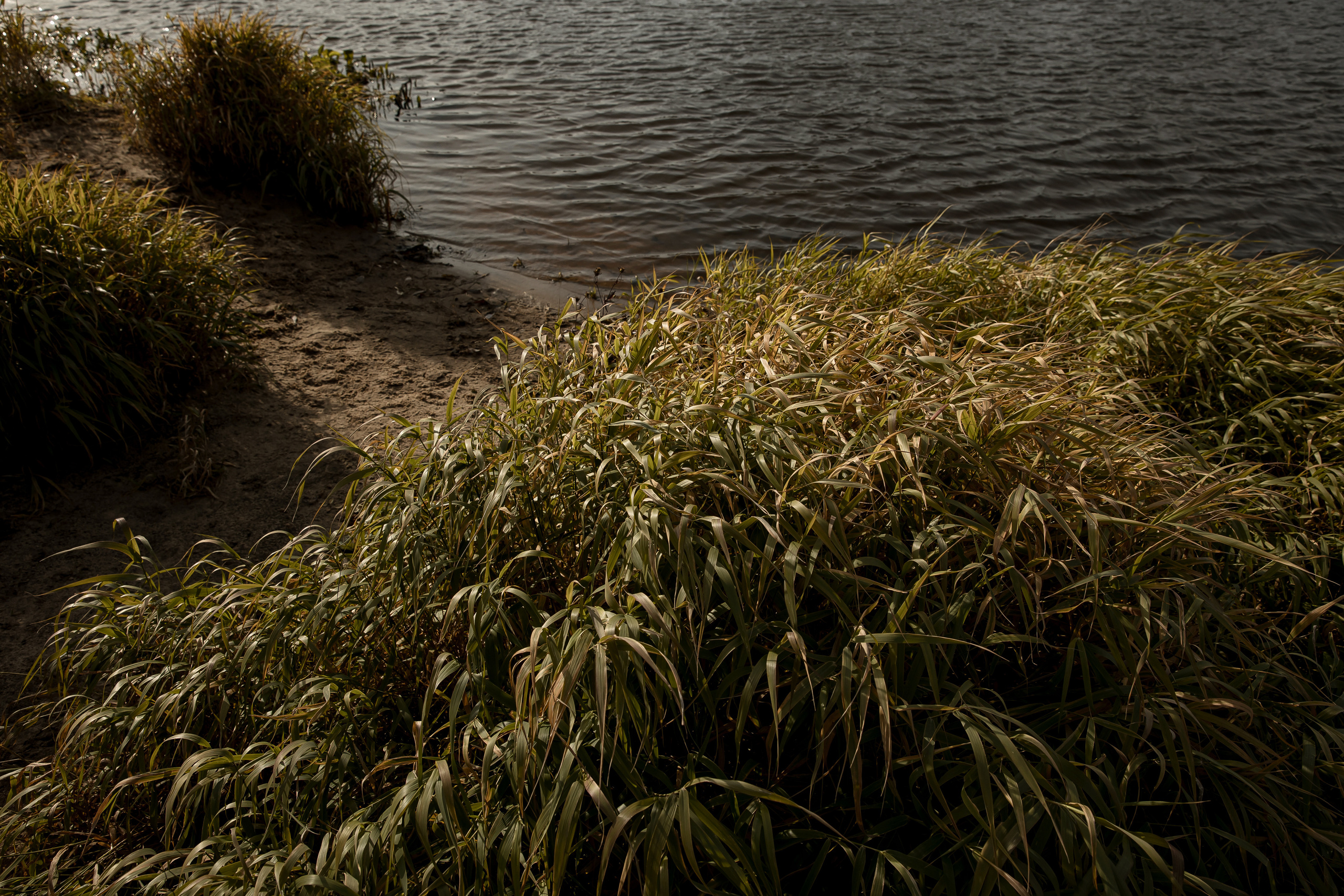 Фотография со вкусом Любви. Свадебный фотограф Колесников Антон