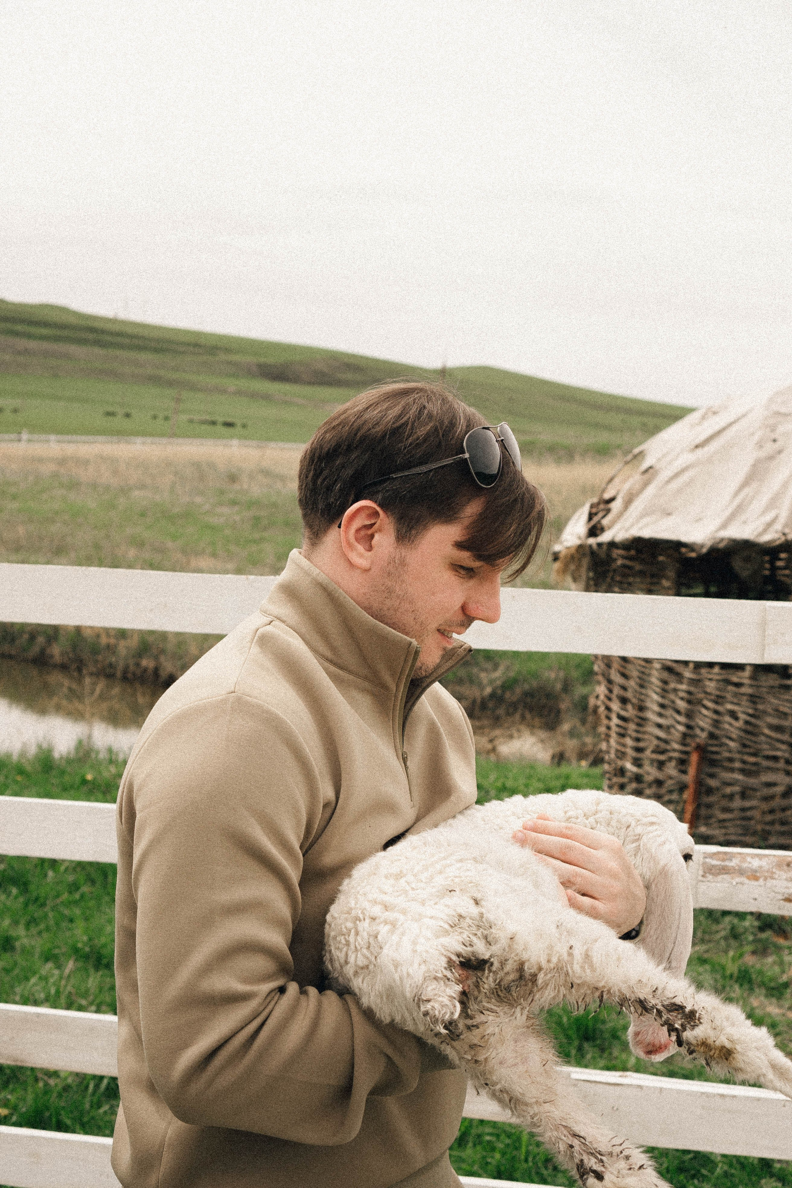 Ферма Альпак. Профессиональный фотограф, Санкт-Петербург — Виктория Богомолова