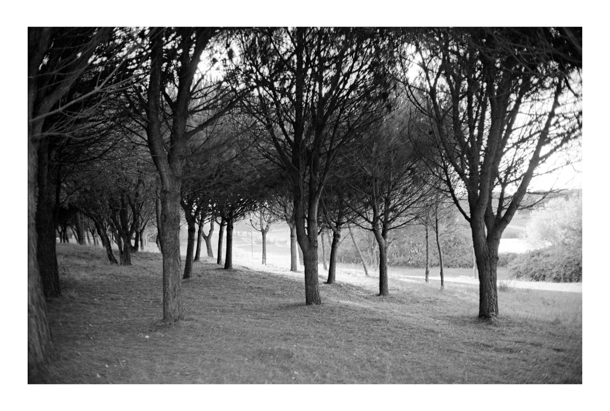 Porto 2023. Dima Voronetsky