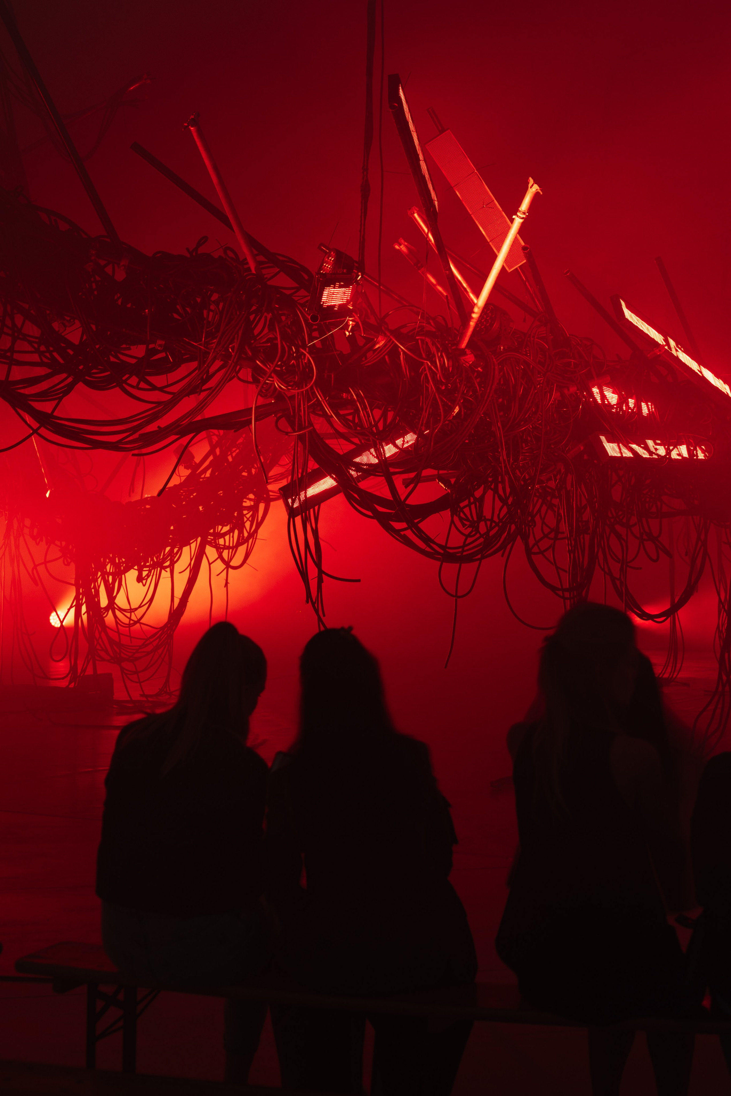 PERFORMA, The Hour of the Horse. @tomrus: Рустам Шагиморданов — фотограф