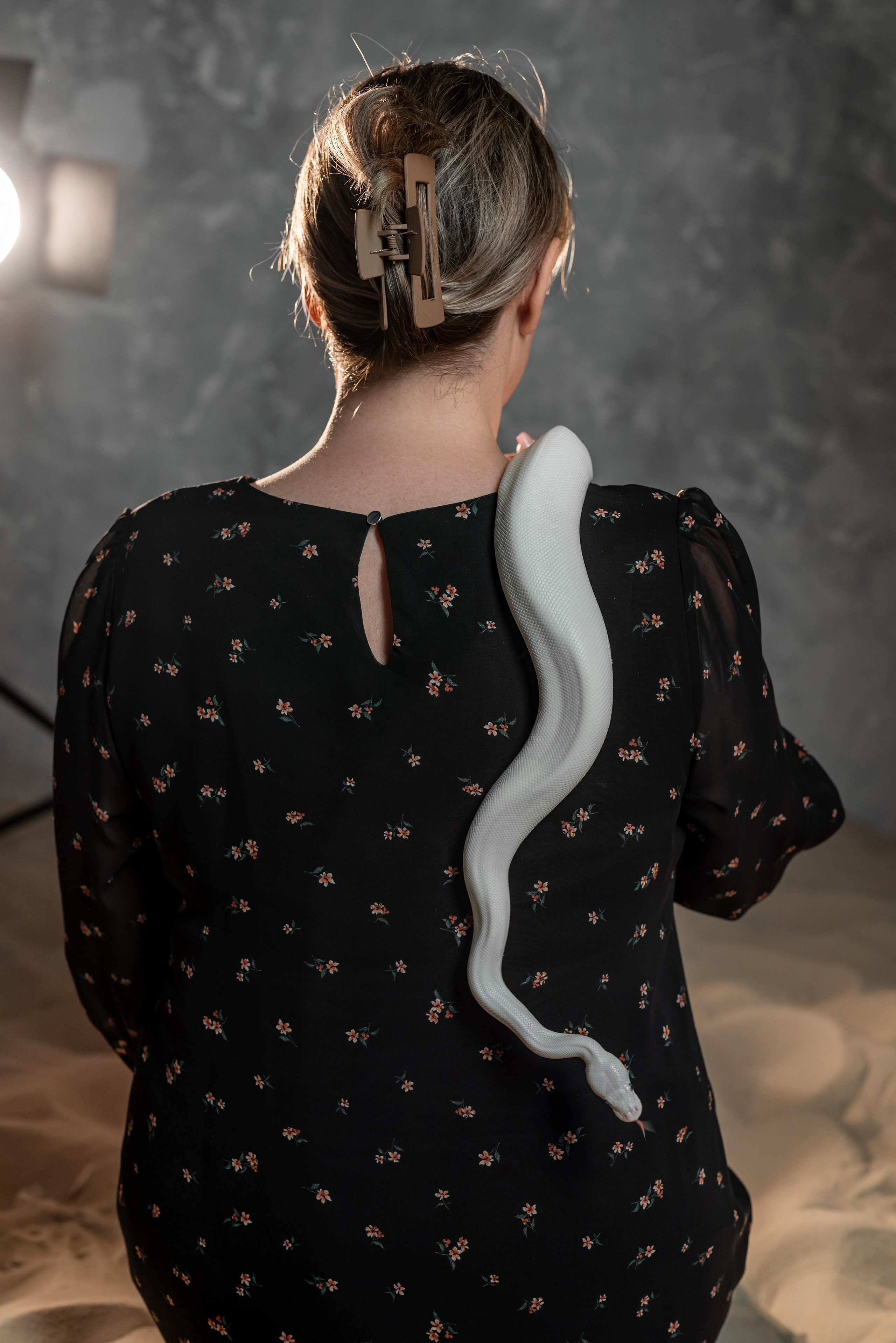 Фотопроект со змеёй 2025 г. Фотограф в городе Салават