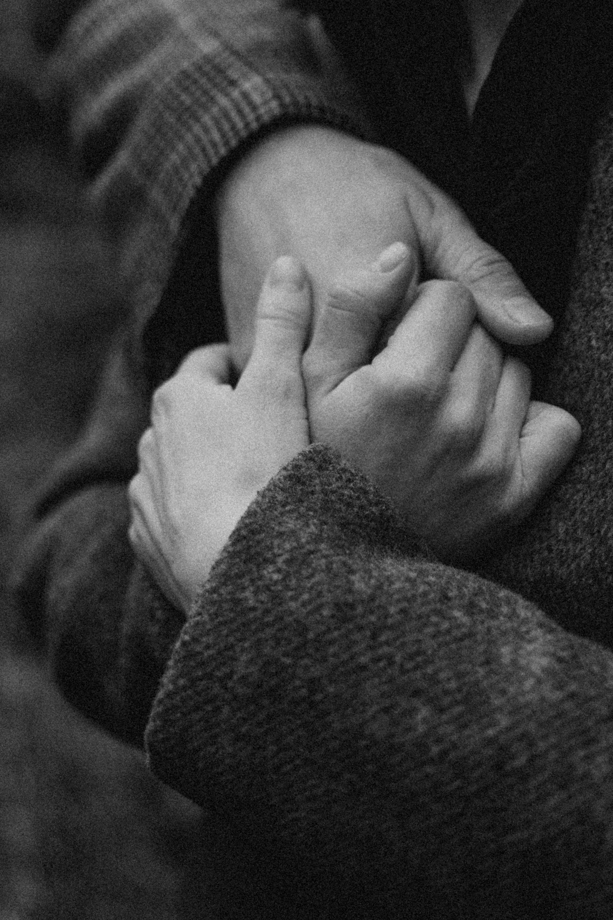 Лаки и его семья. Фотограф — Анималист | Санкт-Петербург