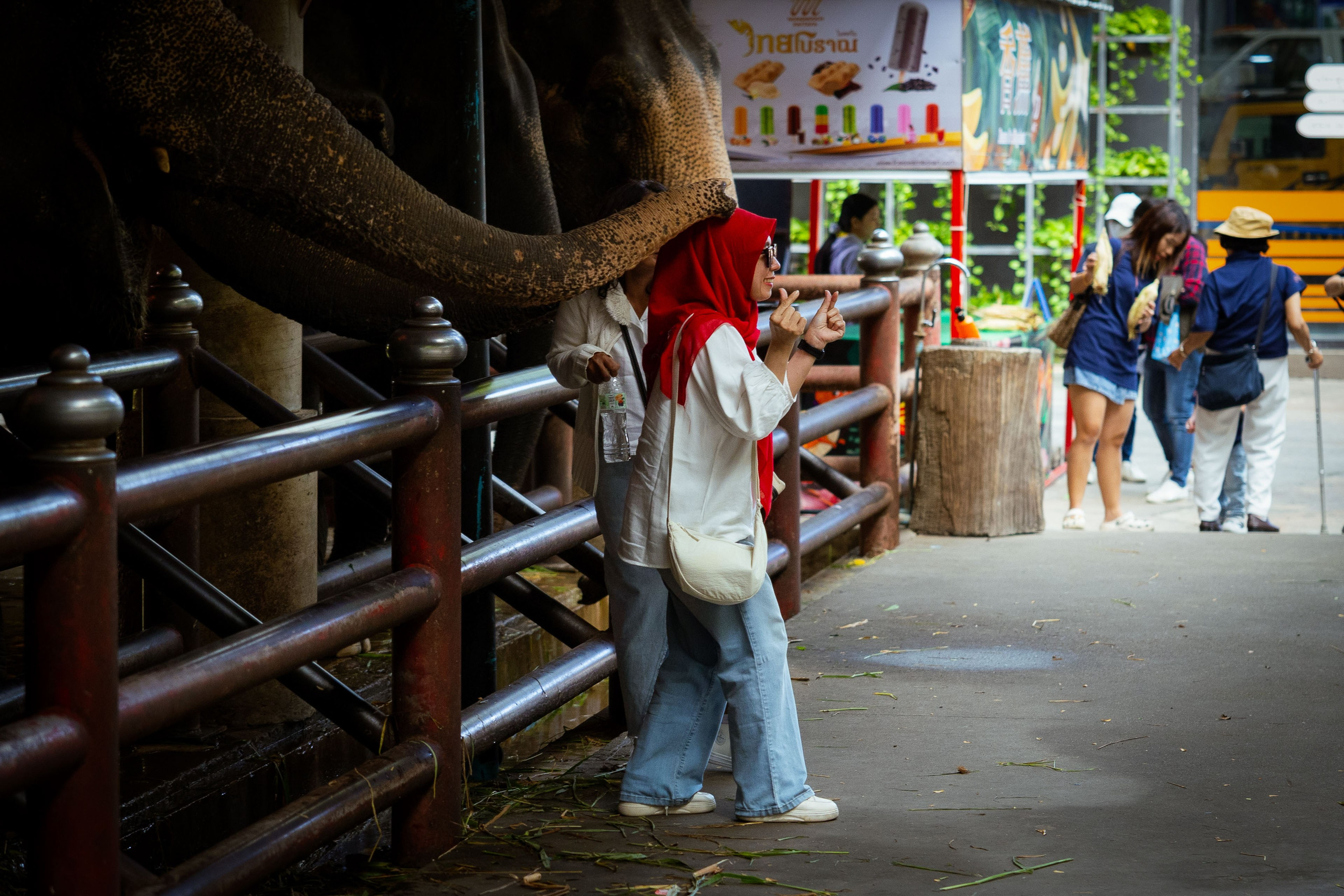 Таиланд (зима 2025). Фотограф Виноградов Константин