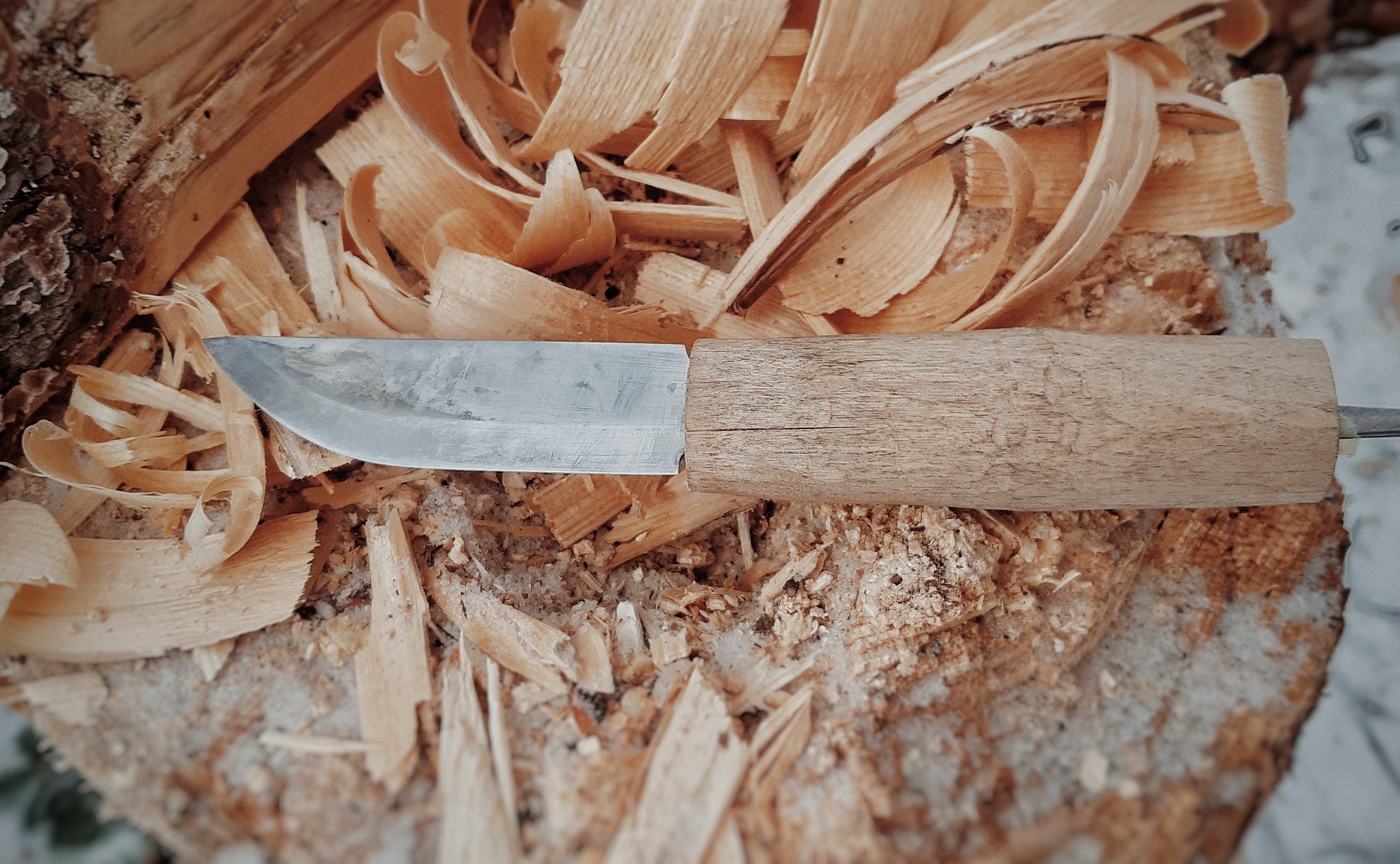 Моя история. CLADIUM