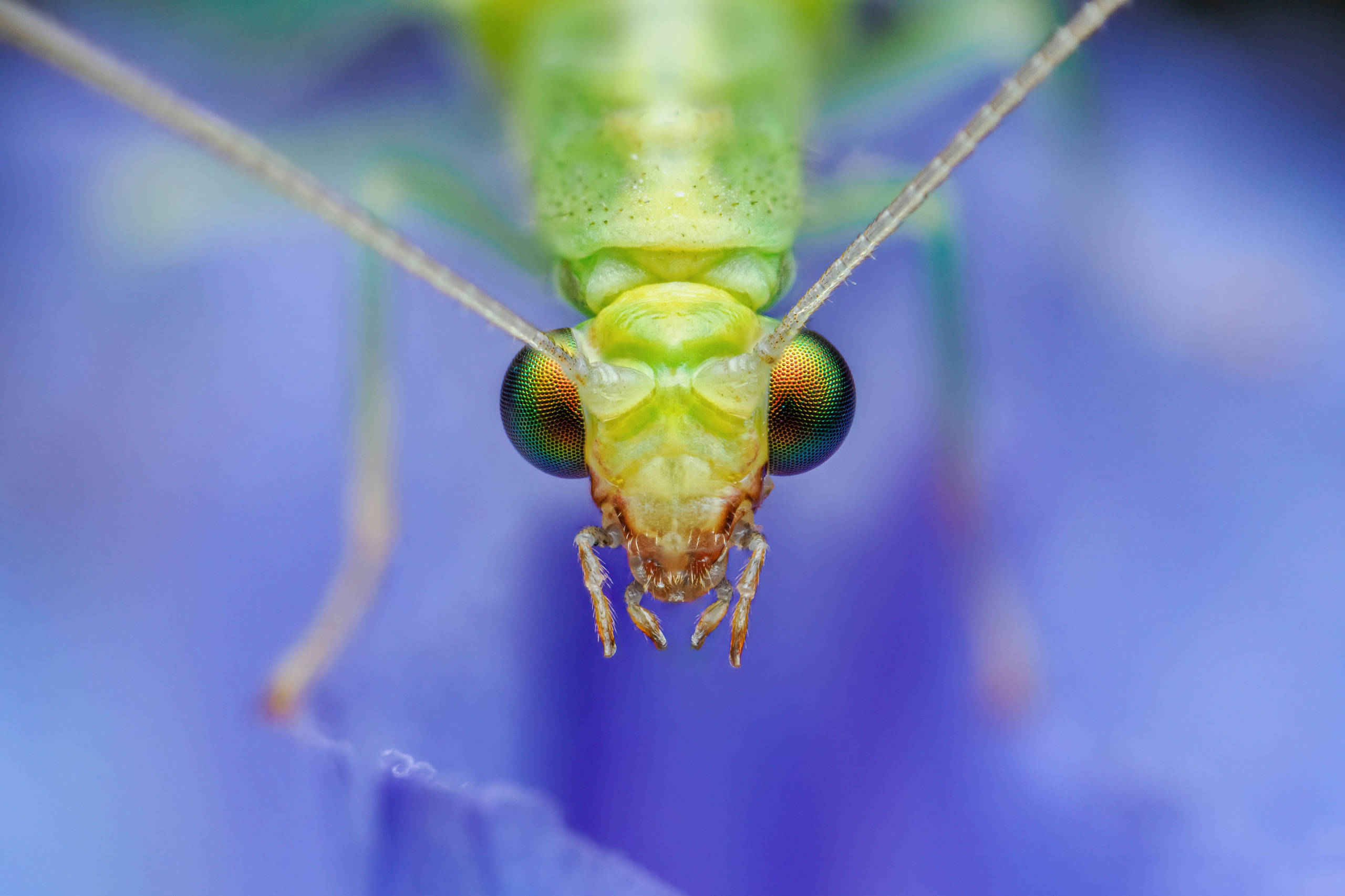 Macrolover | Блог о макро и не только