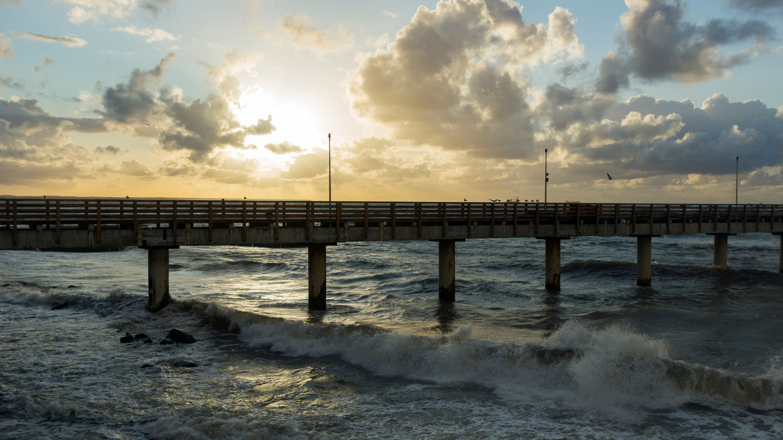 Куршская коса. Фотограф-путешественник Самойлов Максим «Sly Fox»