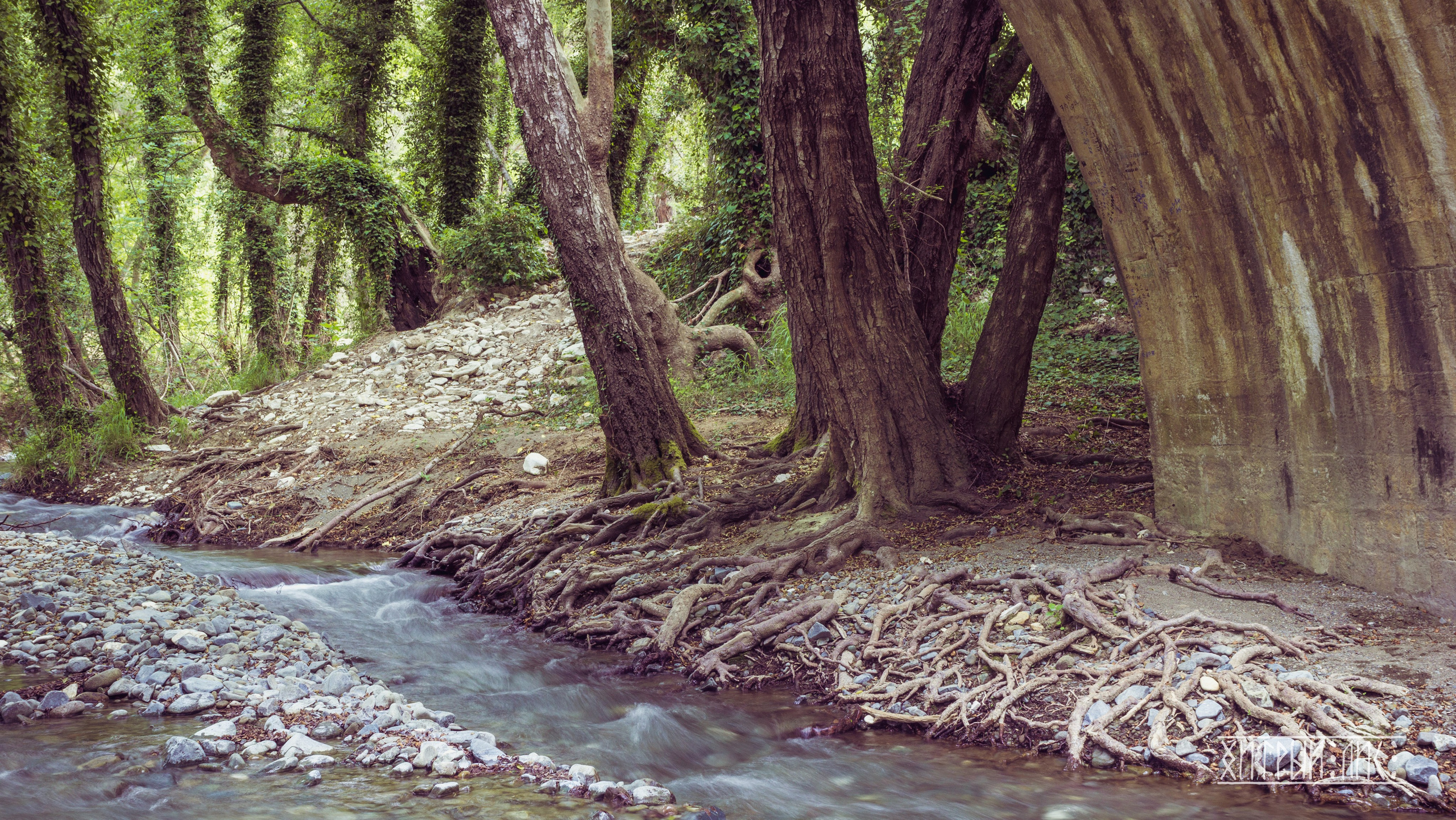 Кипр. Фотограф-путешественник Самойлов Максим «Sly Fox»