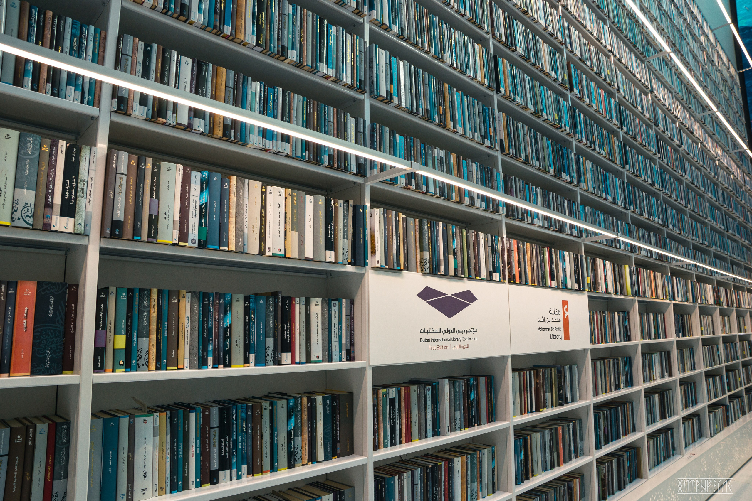 ОАЭ. Фотограф-путешественник Самойлов Максим «Sly Fox»