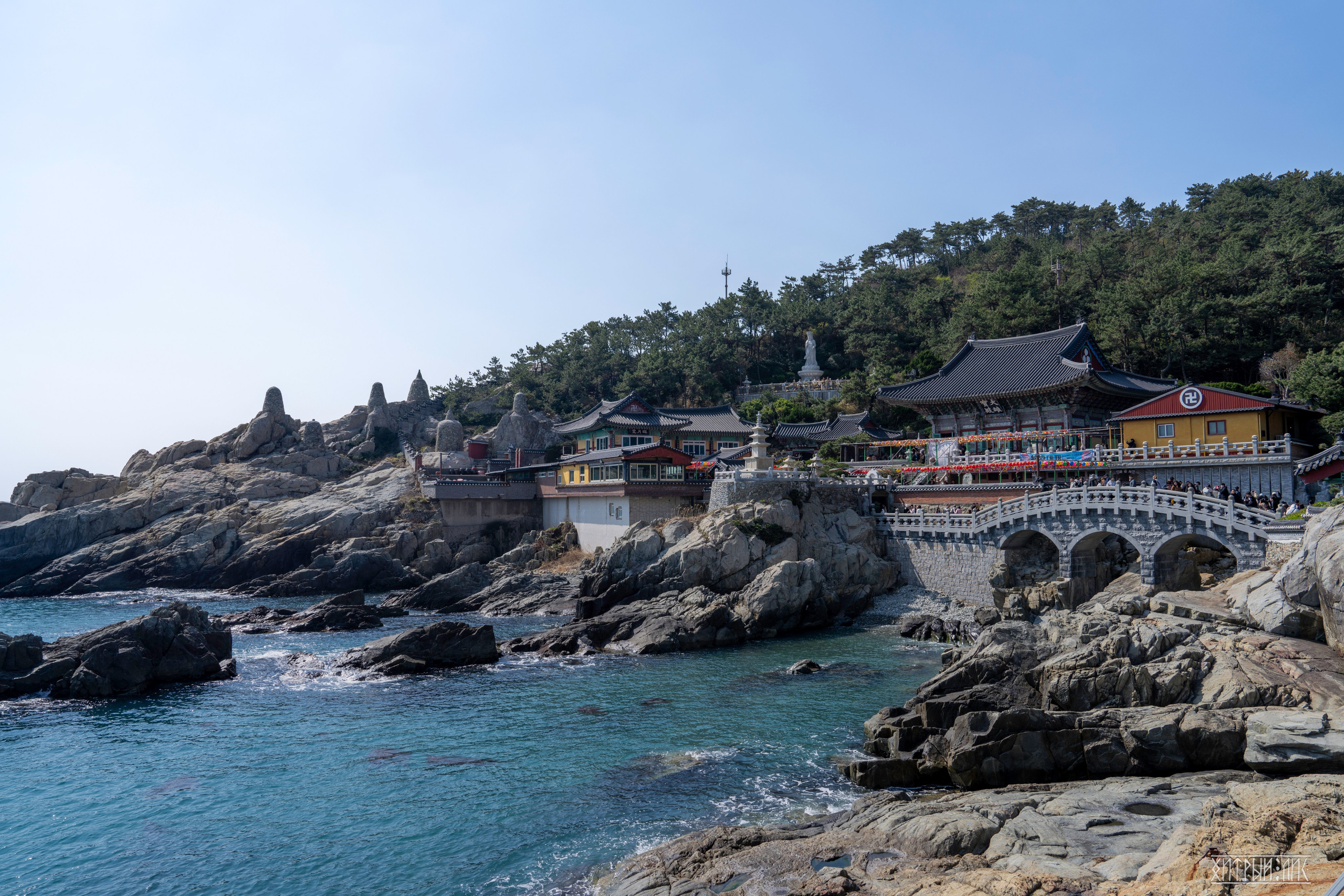 Южная Корея. Фотограф-путешественник Самойлов Максим «Sly Fox»