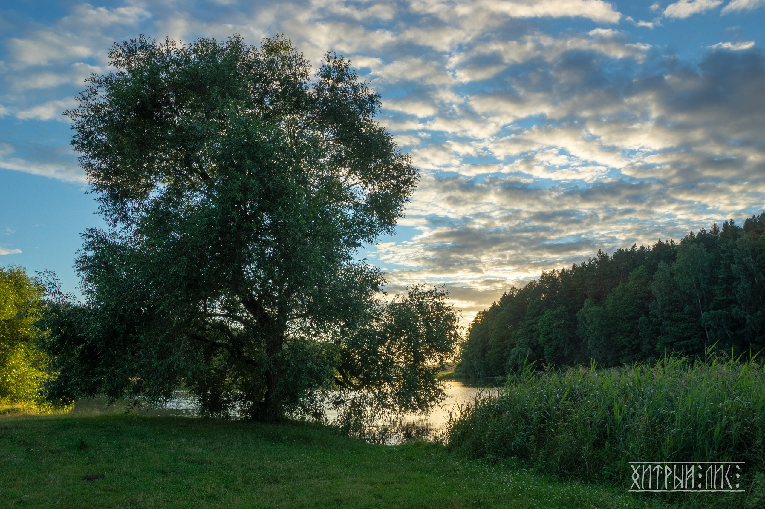 Беларусь. Фотограф-путешественник Самойлов Максим «Sly Fox»