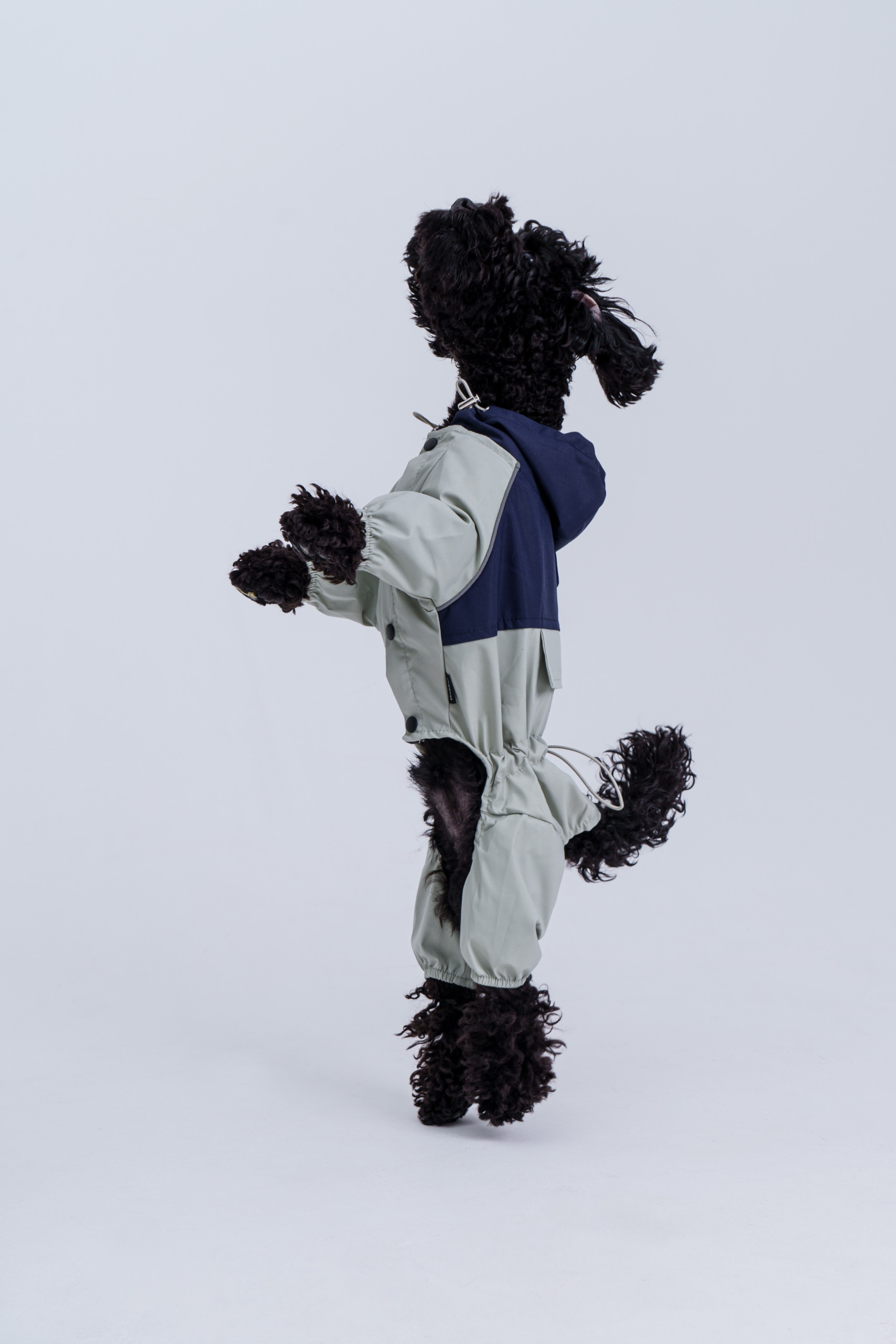 Циклорама. Яна Трилис — Коммерческий фотограф. Лукбуки, каталоги, компейны. Москва | Санкт-Петербург