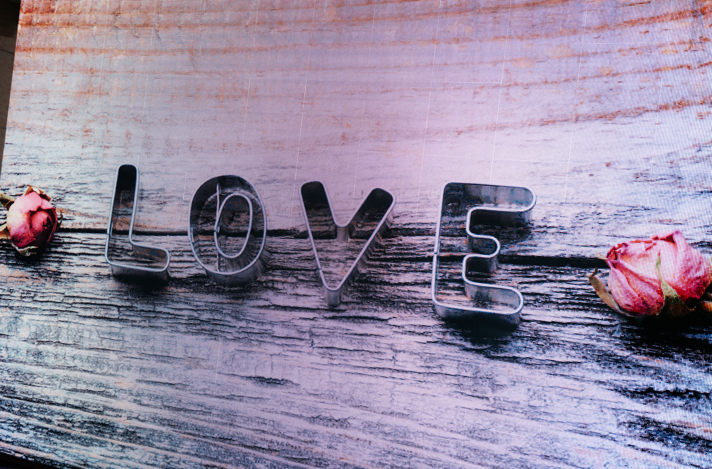 Максим и Алена. Свадебный фотограф Иркутск Алексей Шульгин