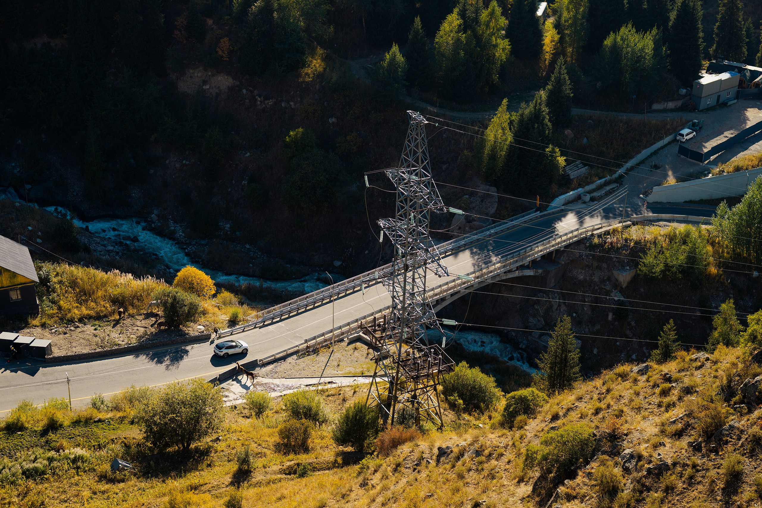 Чимбулак — 2025. Photographer in Almaty — Alexey Konkov | Reportage, Weddings, Portraits, Love Story