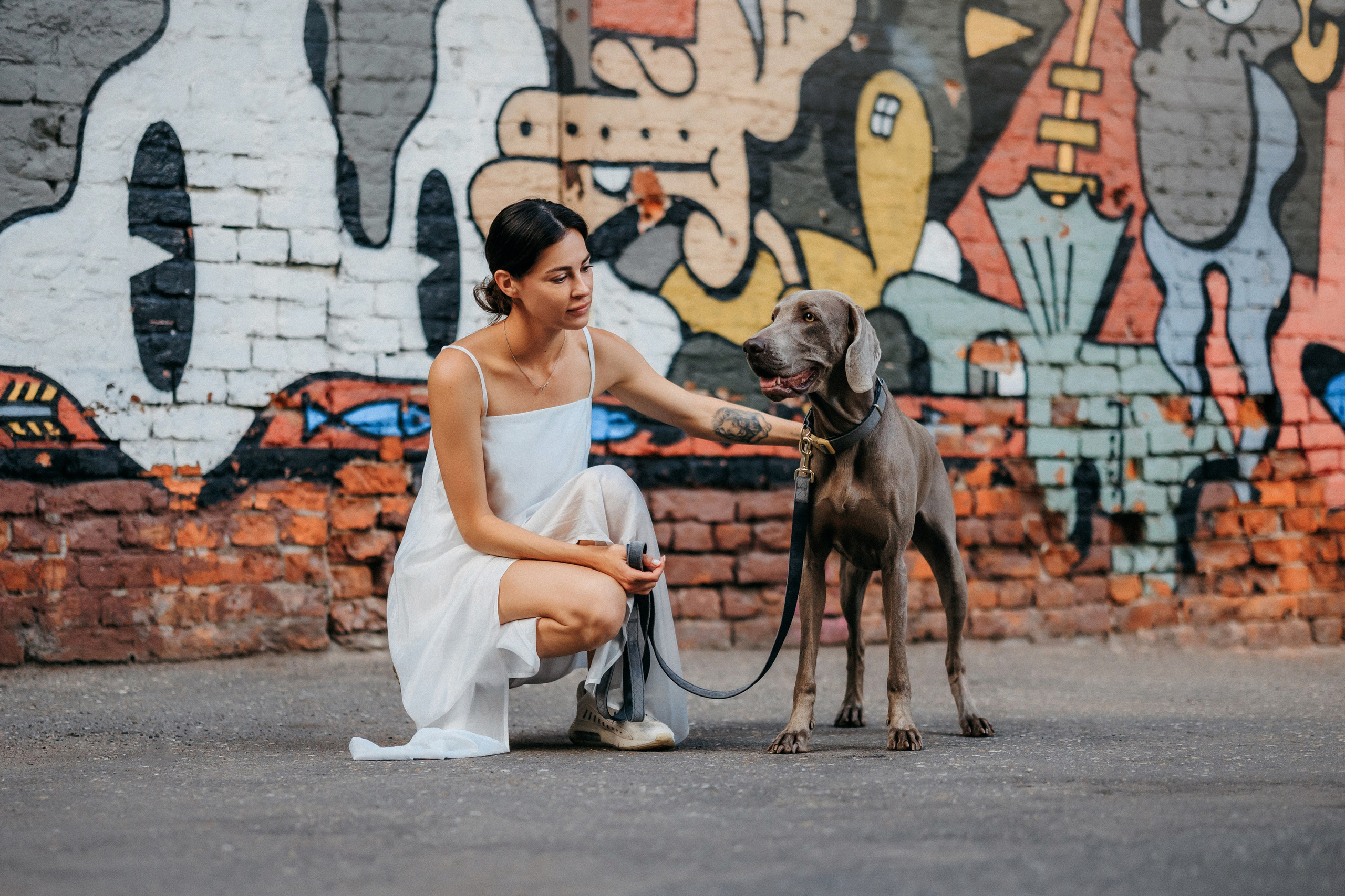 Соня и Майли. Фотограф-анималист Елена Радченко, Москва