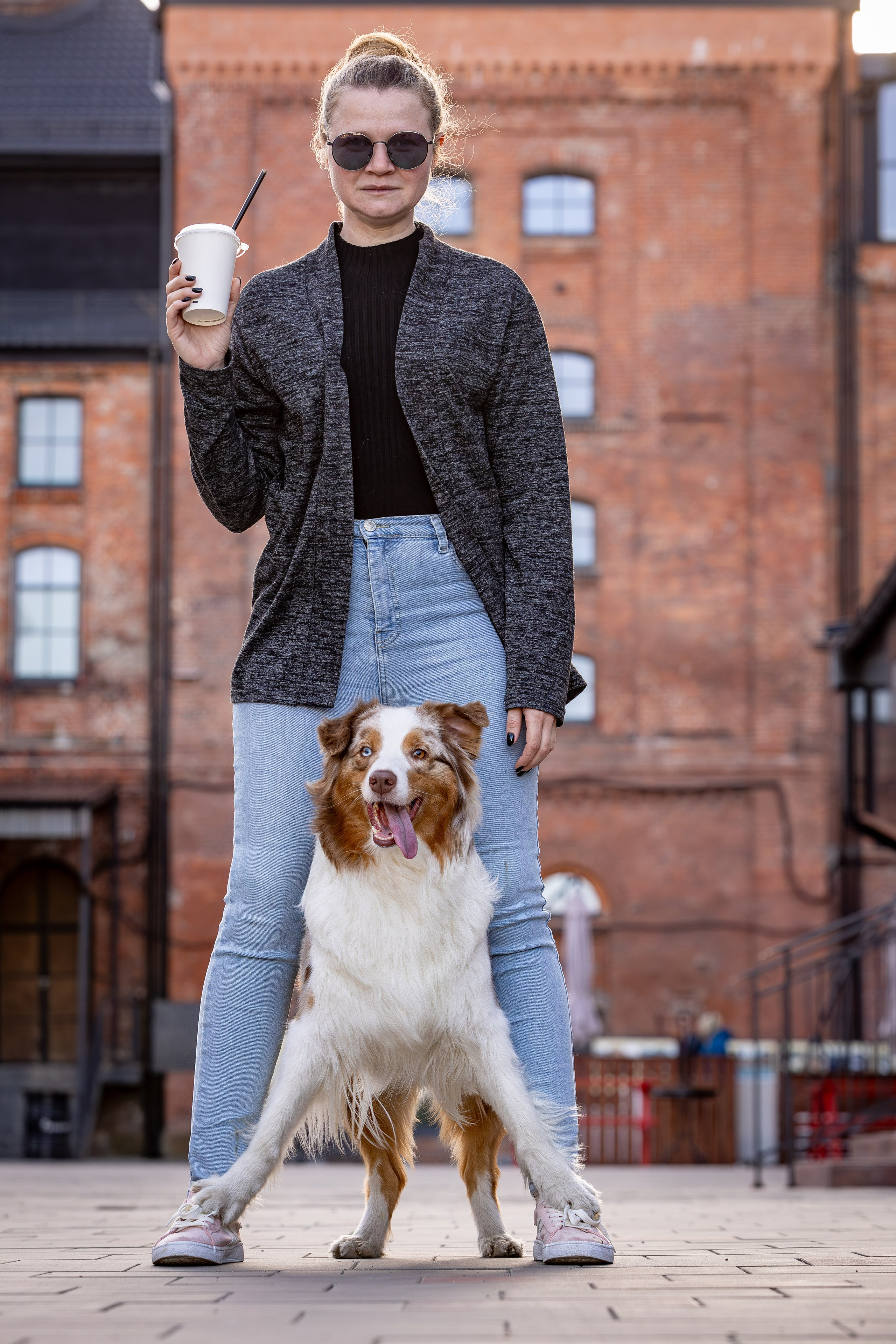 Полли, Австралийская Овчарка. Ирина Голомб|Фотограф-анималист в  Сочи и Калининграде