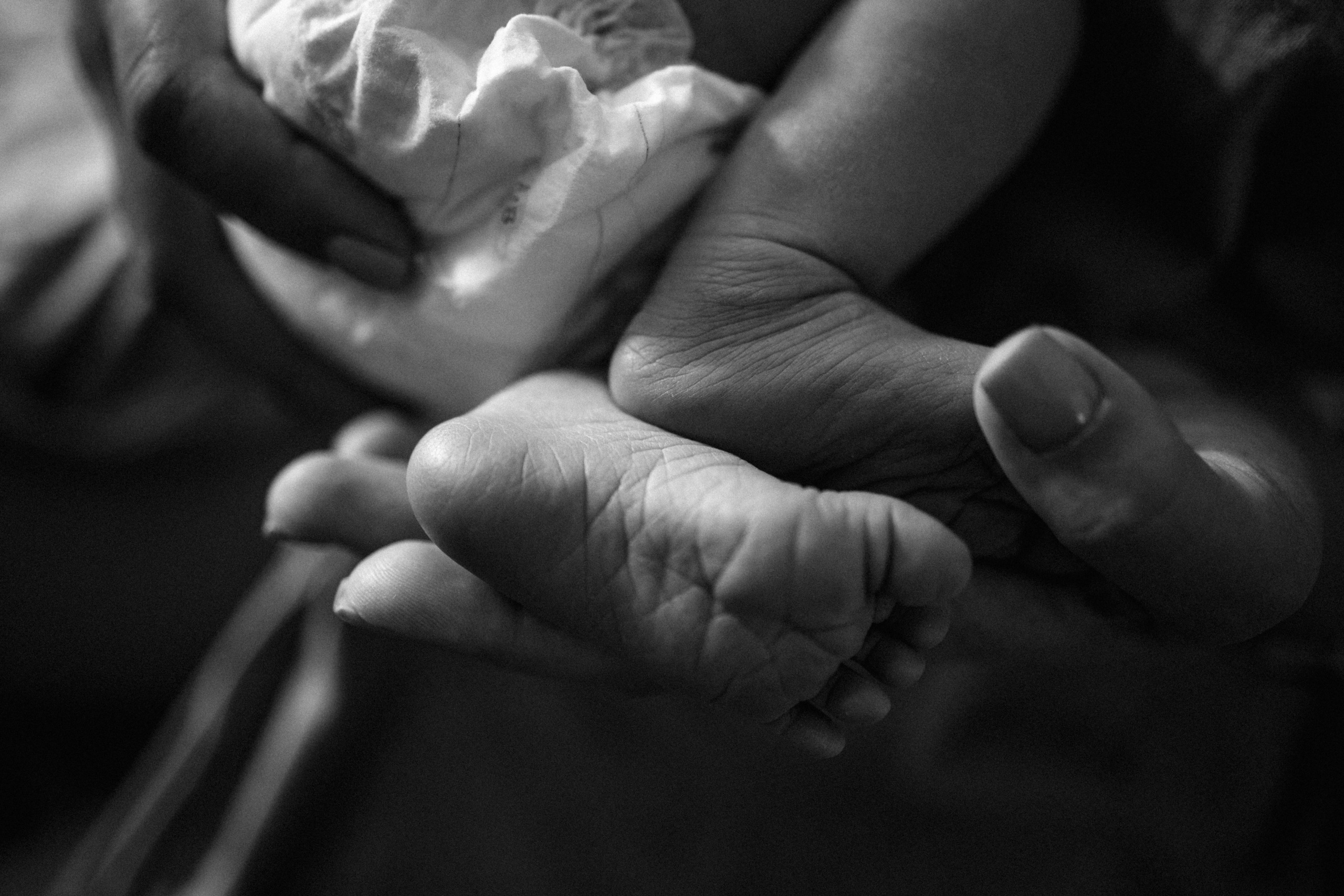 Домашние. Главная