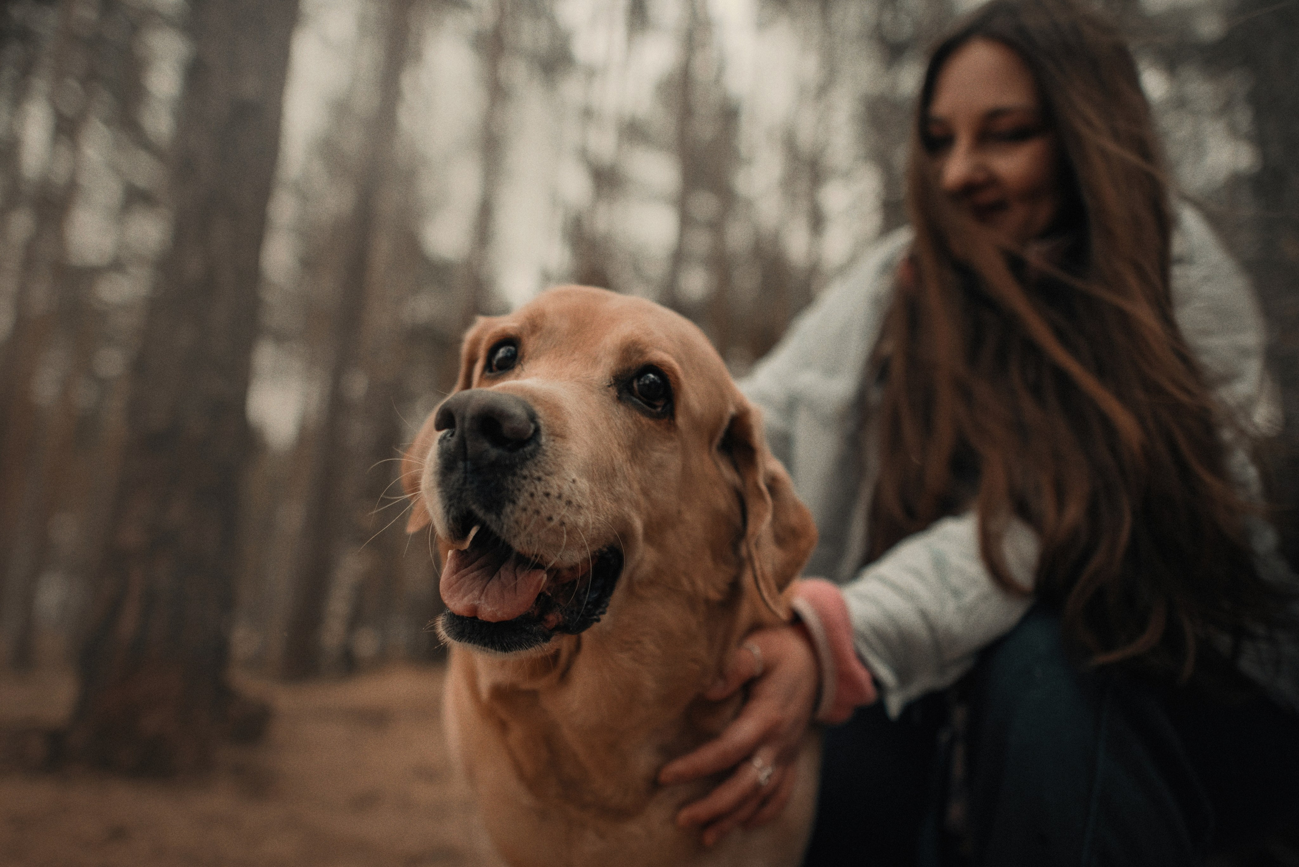 Прогулка: берн Пума, Фрэнк и Юля в Питере. Портфолио